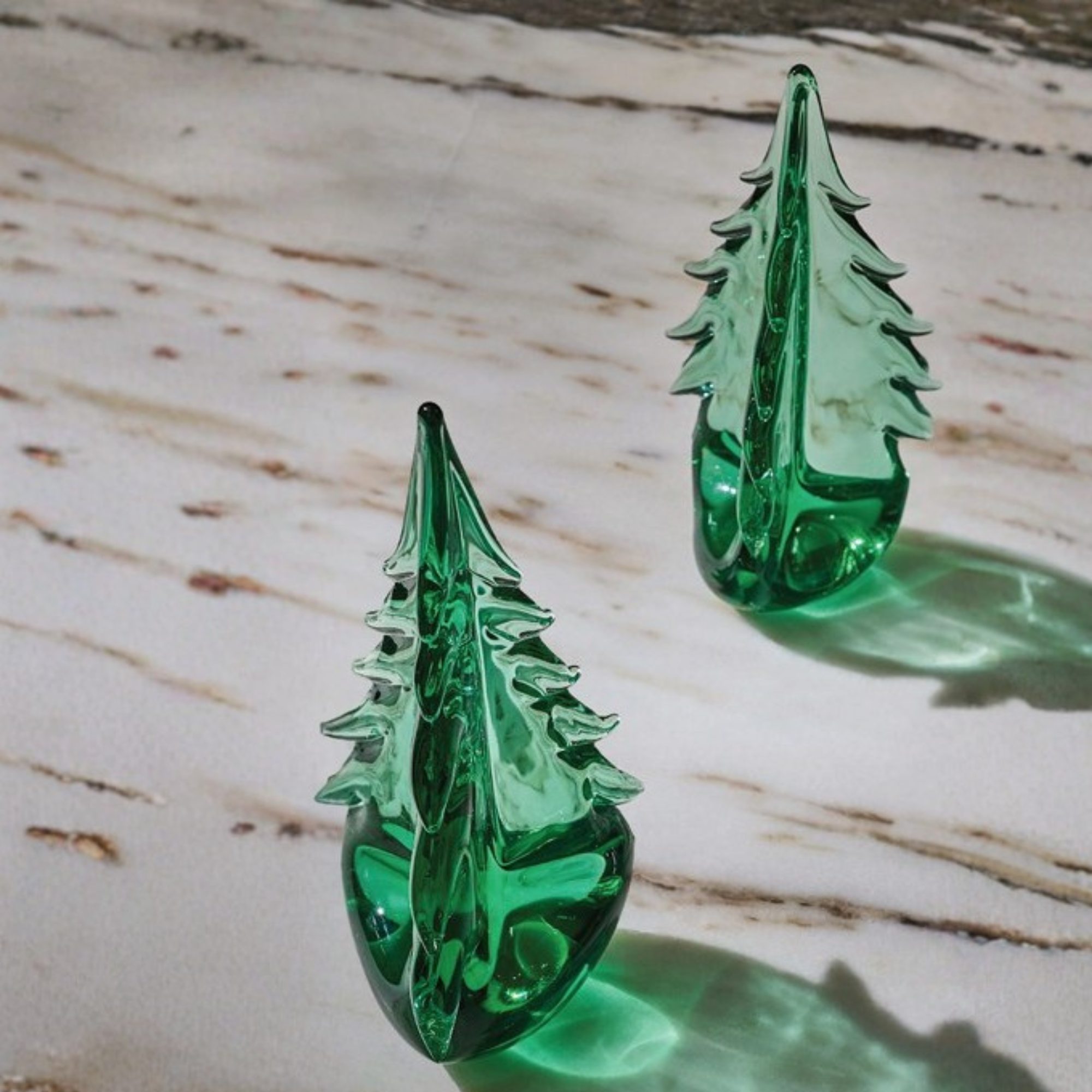 Green Mountain Evergreen - 10"