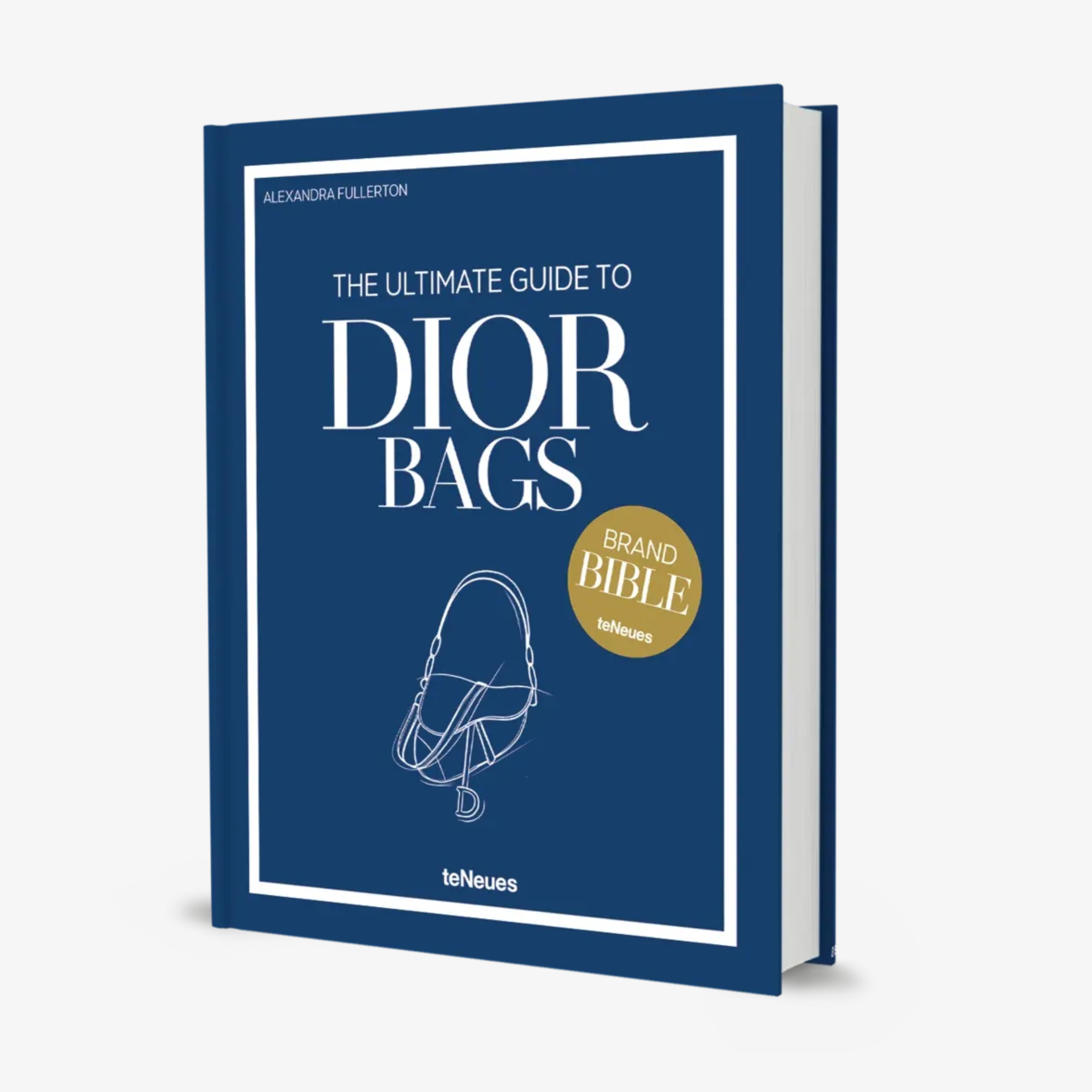 The Ultimate Guide to Dior Bags (Brand Bible)