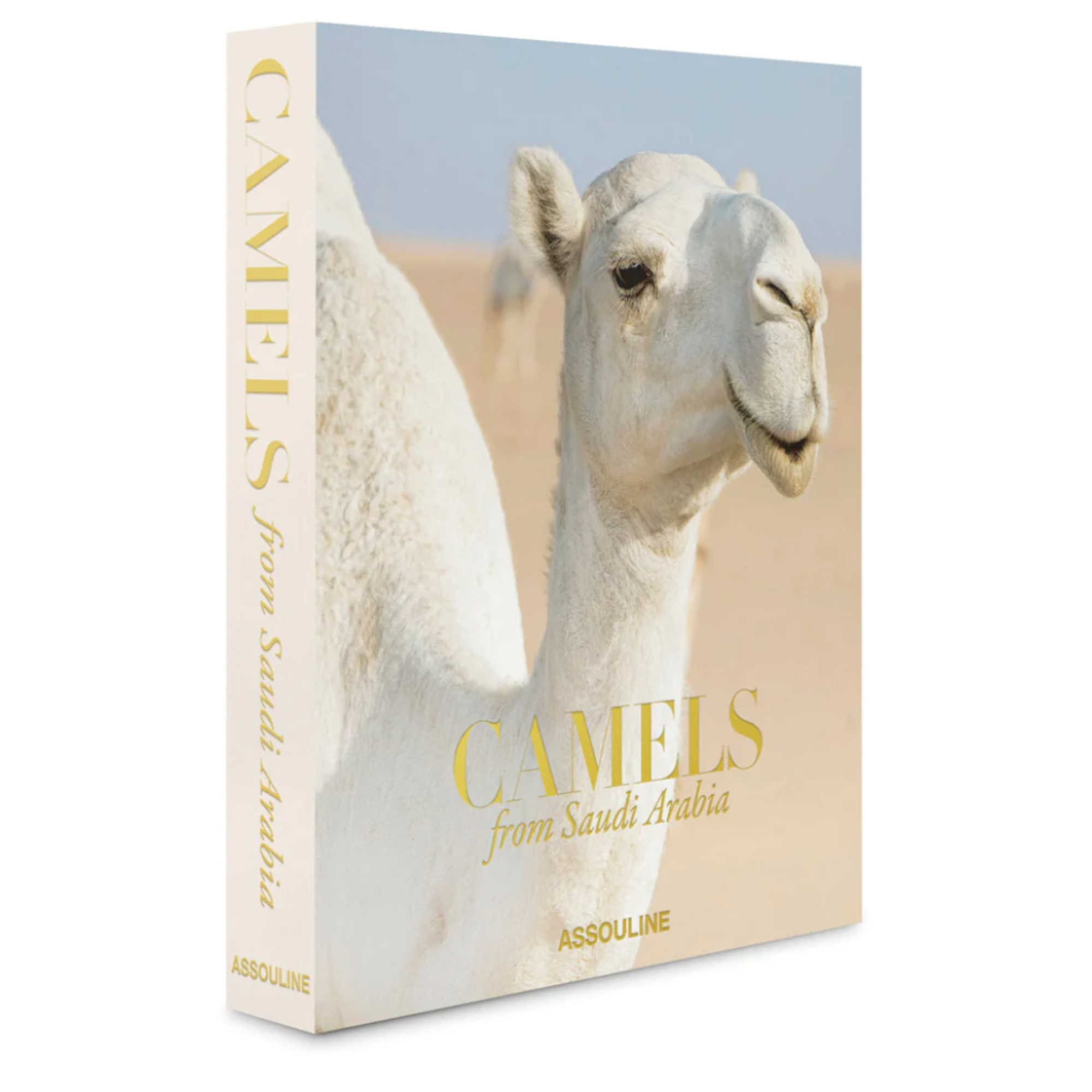 Camels from Saudi Arabia: Kingdom of Saudi Arabia Series, Ultimate Edition