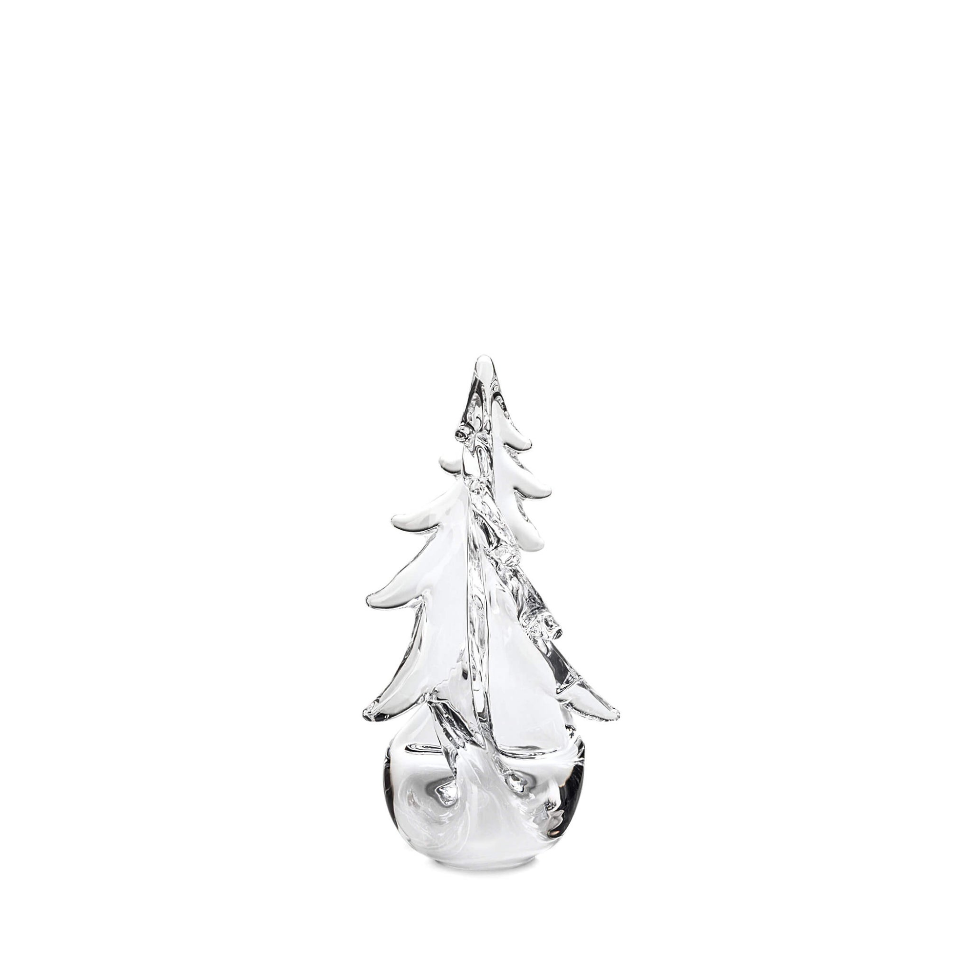 Twist Evergreen in Gift Box