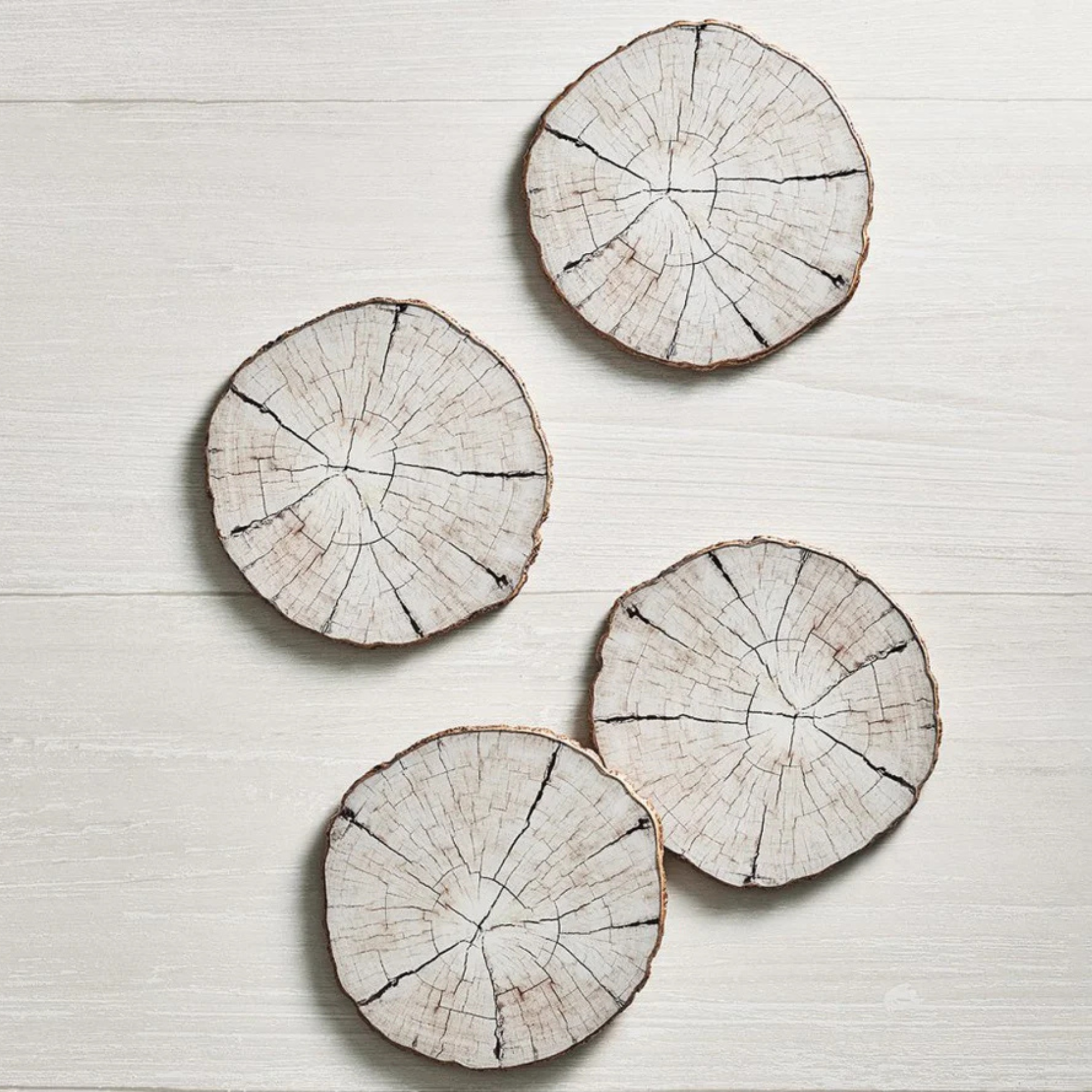 Birch Coasters in Ivory & Natural - Set of 4