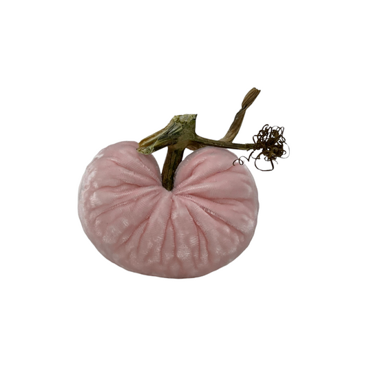 Plush Pumpkin Velvet Pale Pink Heart