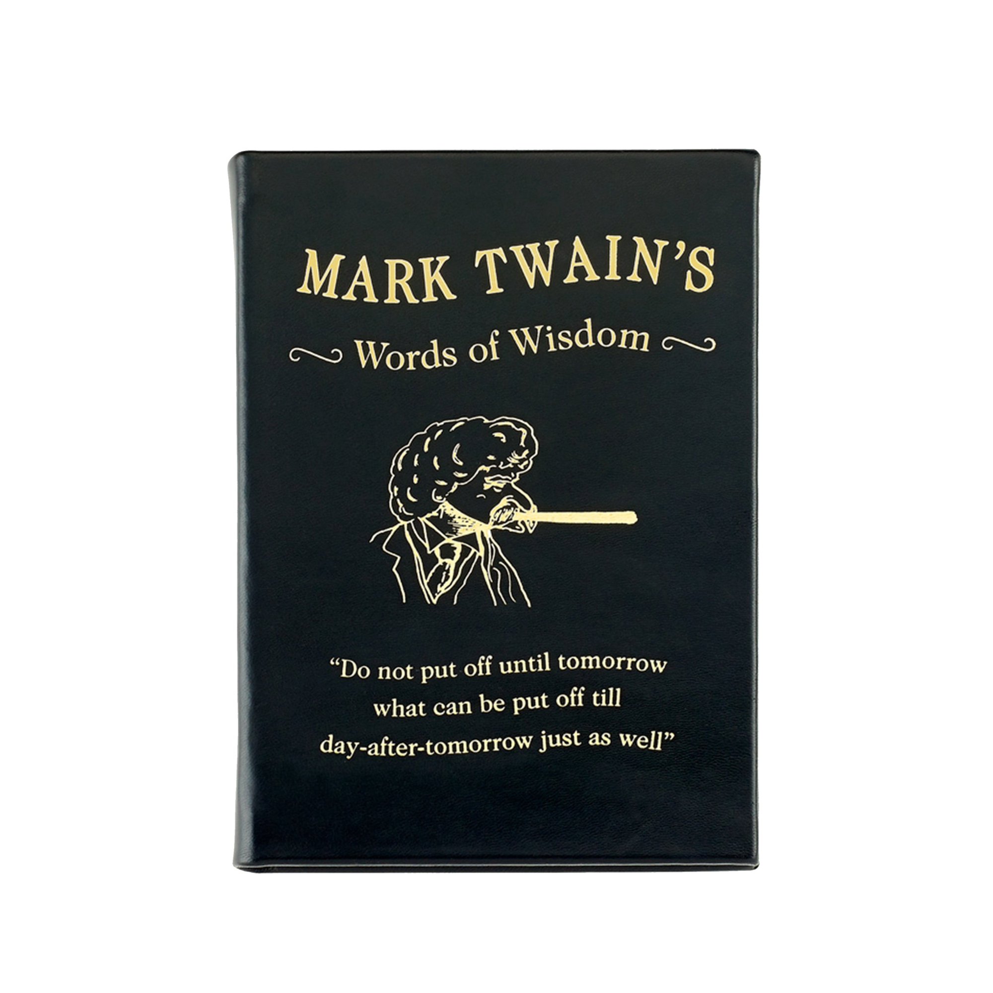 Mark Twain's Words of Wisdon