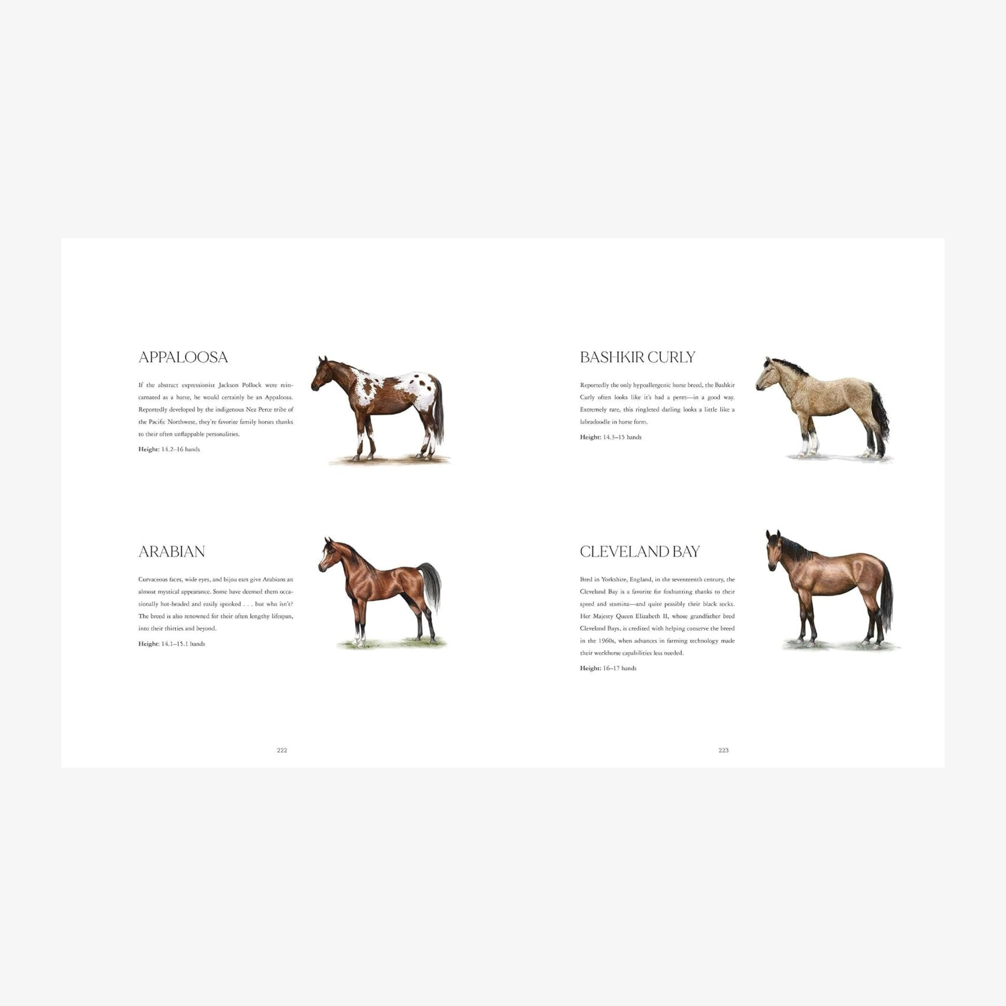 Horse Country, with a Foreword by India Hicks