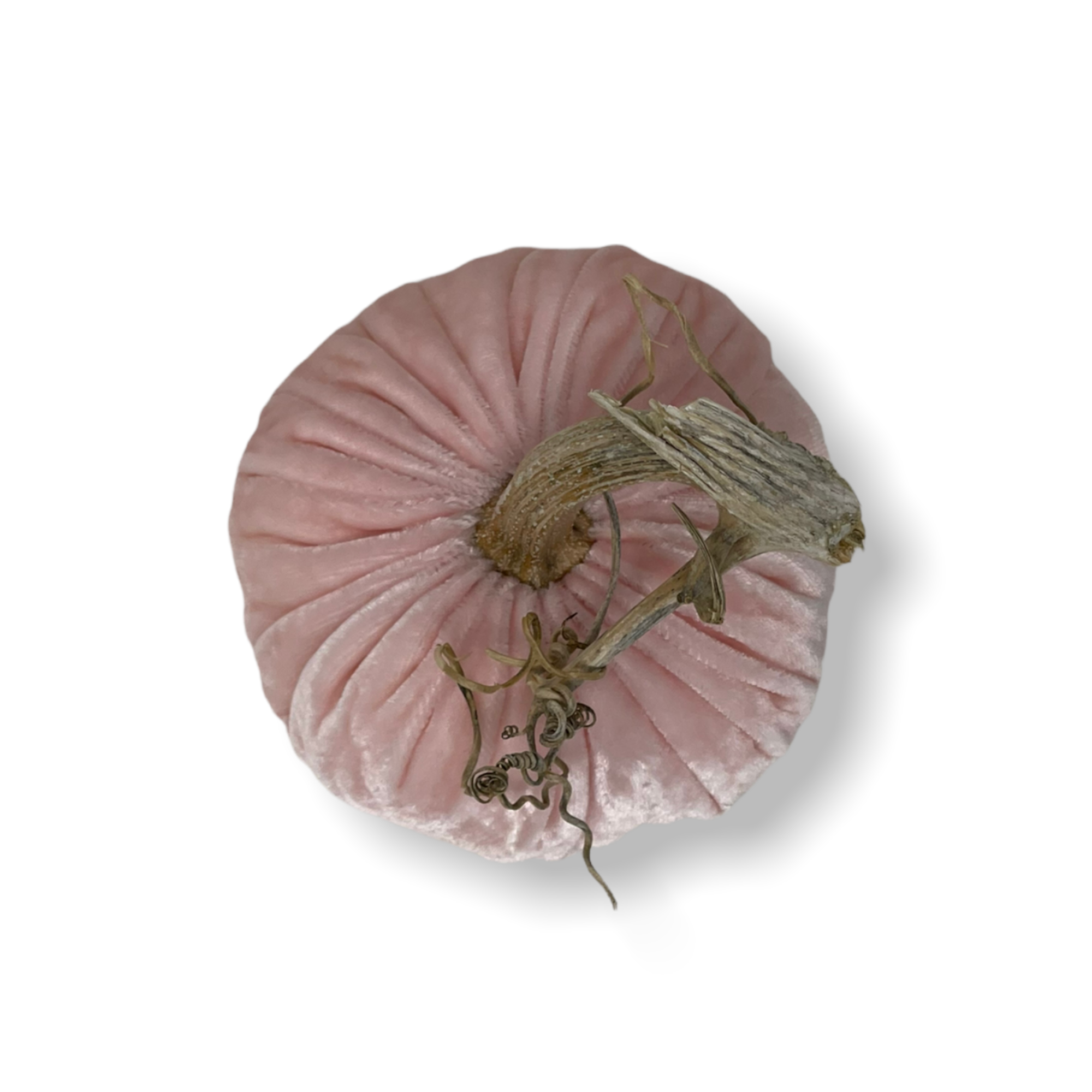 Velvet Pale Pink Pumpkin