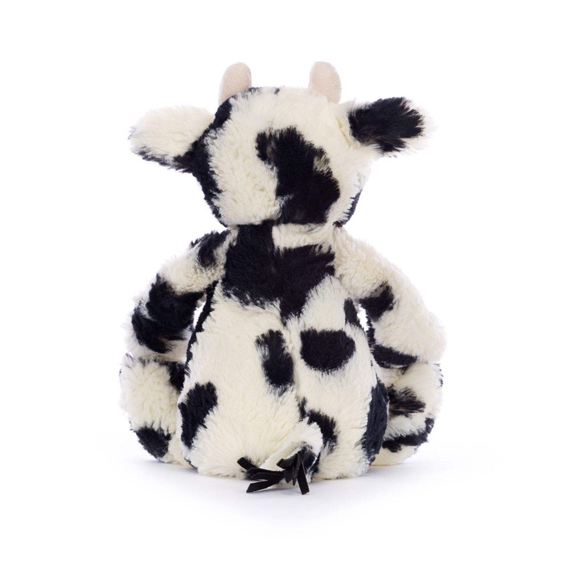 Bashful Calf