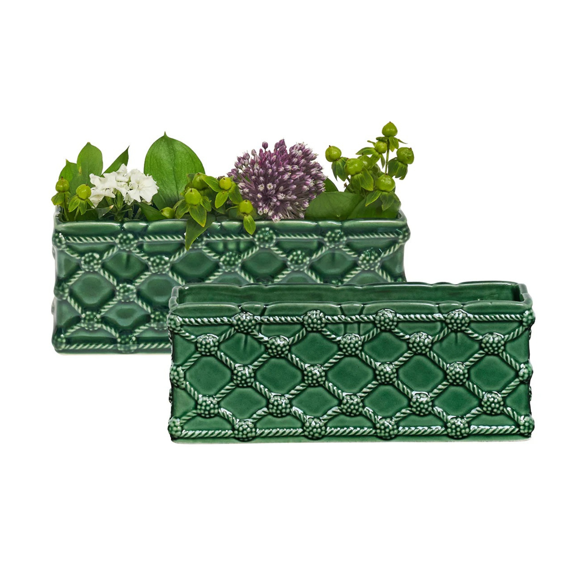 Berry & Thread Petite Parterre 8" Planter in Basil - Set of 2