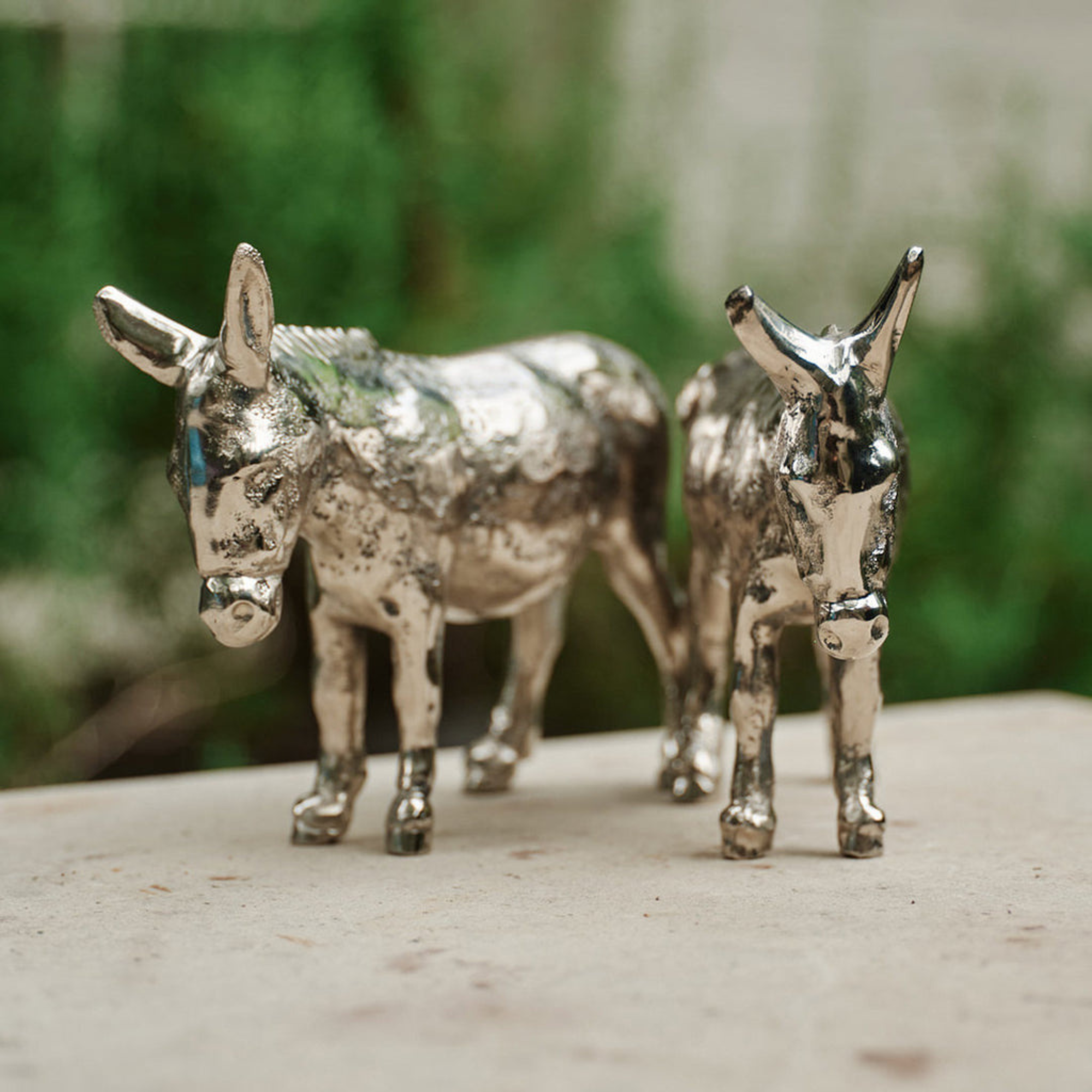 El Burro in Nickel