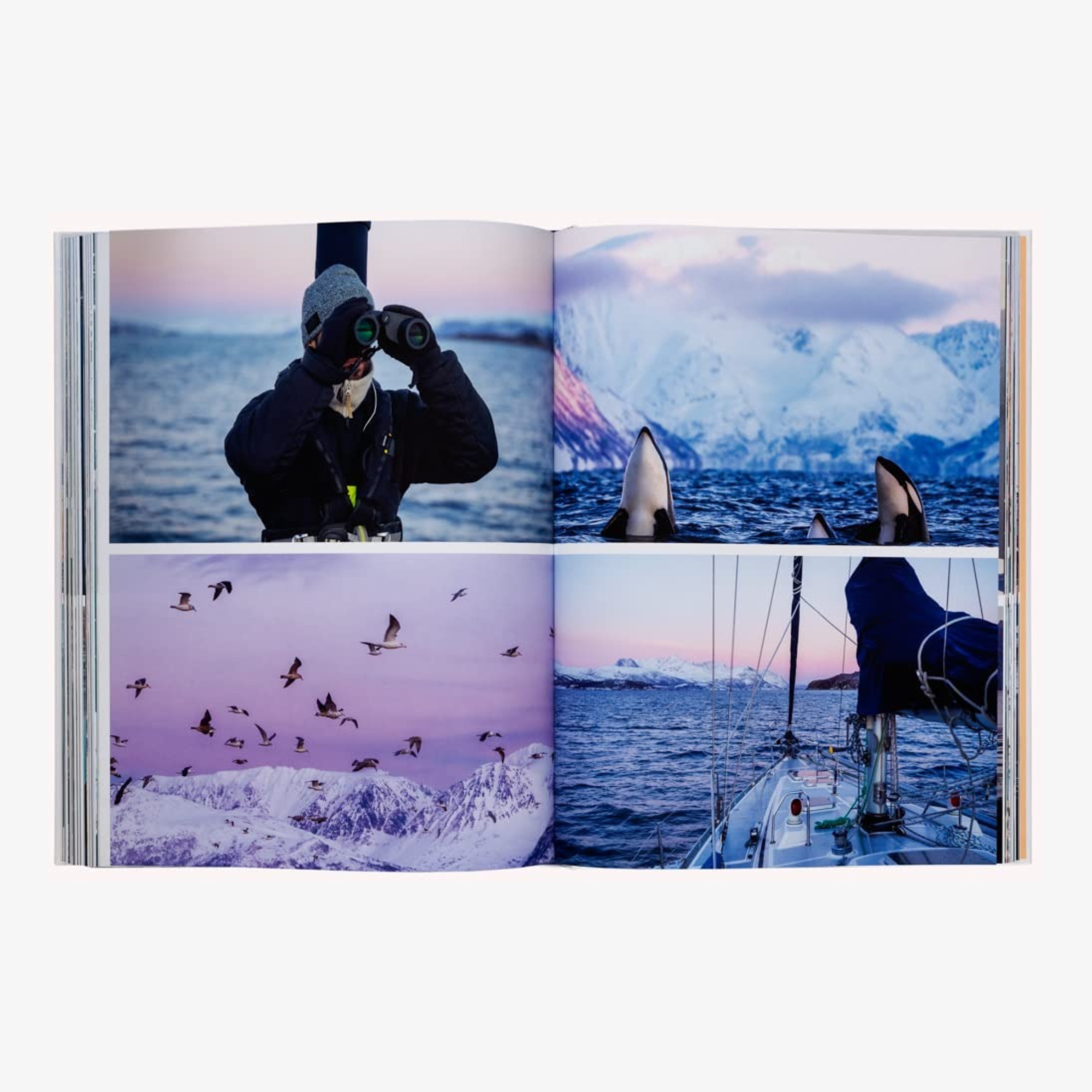 Boatlife: Exploring the Freedom of Maritime Living