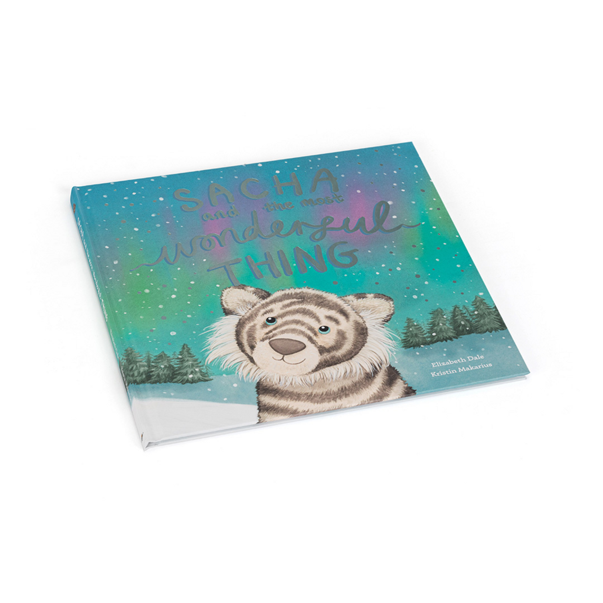 Sacha and the Most Wonderful Thing Book