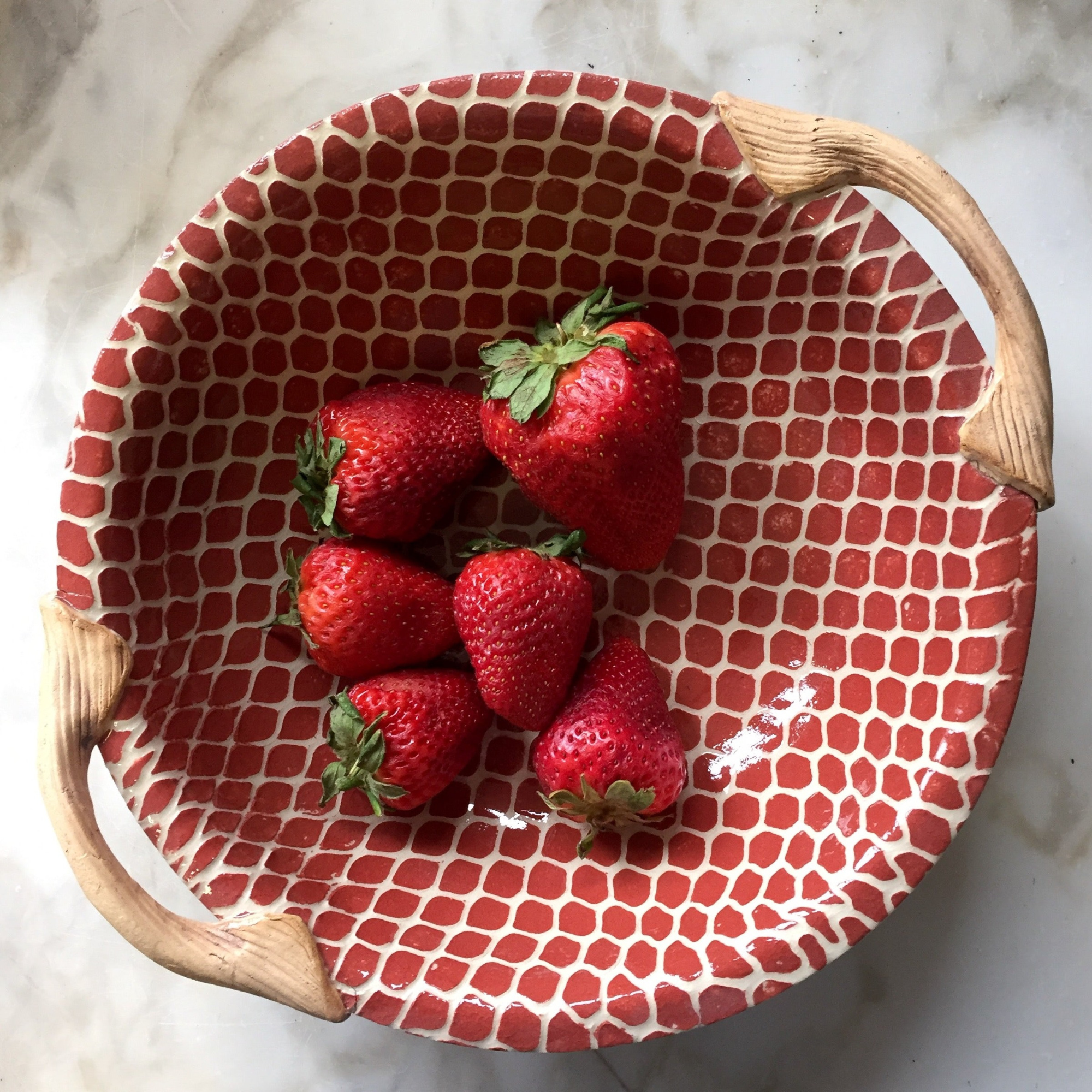 Veggie Bowl With Handle - 9"