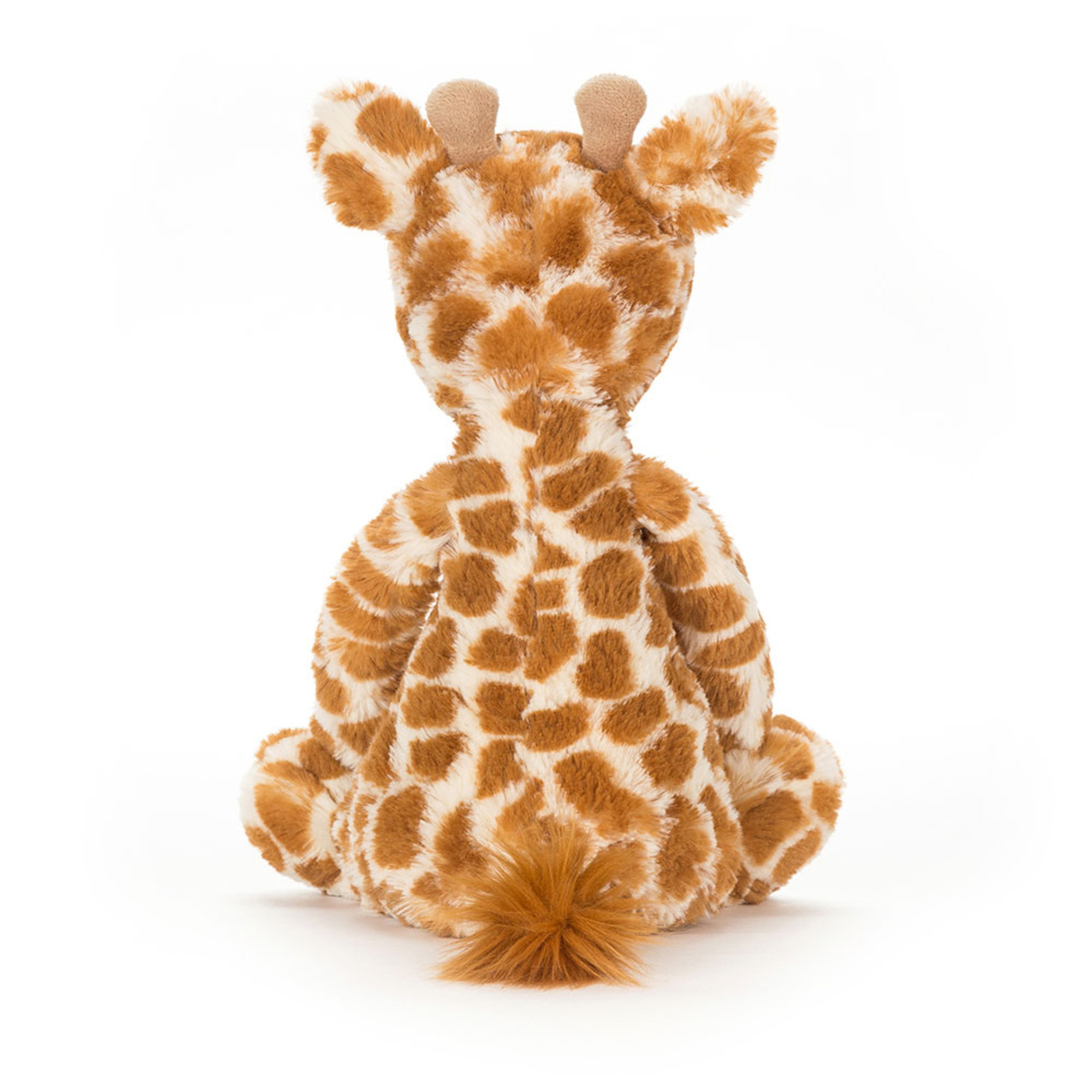 Bashful Giraffe and If I Were a Giraffe Board Book