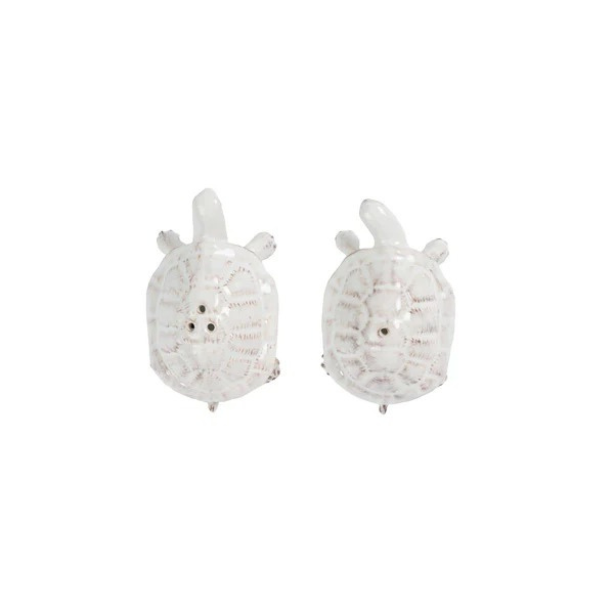 Clever Creatures Turtle Salt and Pepper Set