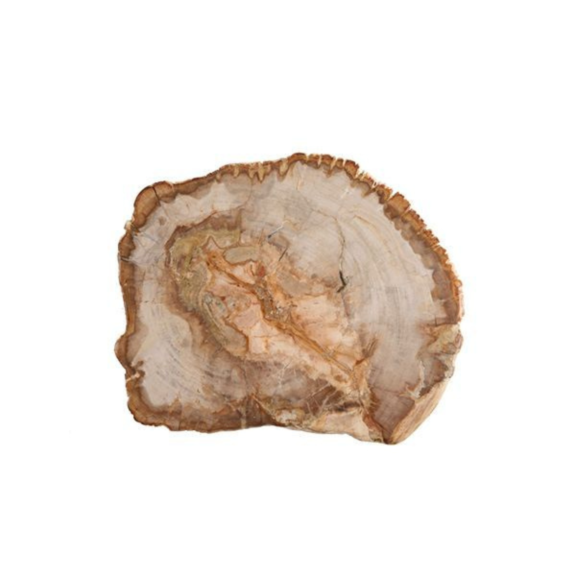 Serveware Petrified Wood Platter