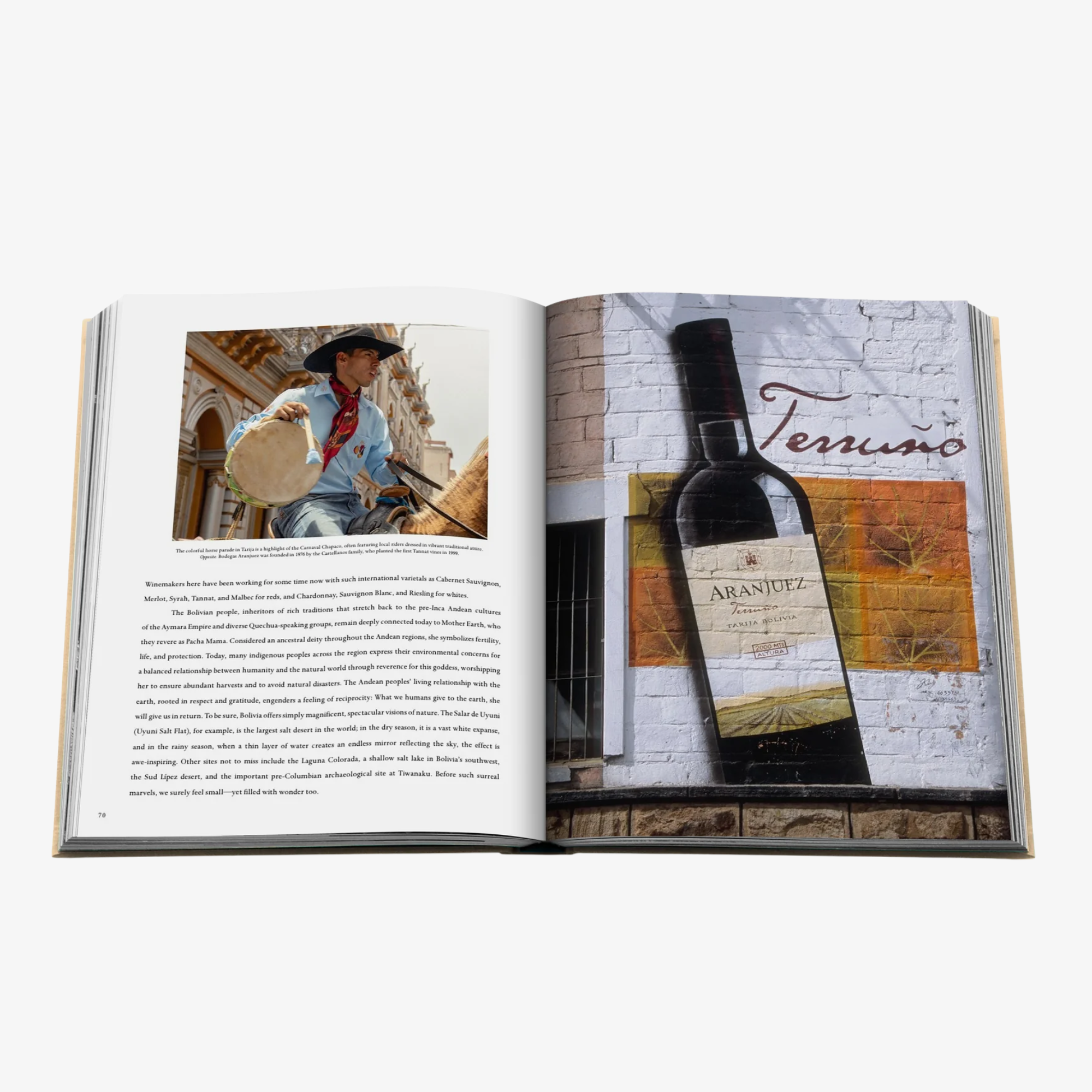 Wine & Travel: Latin America