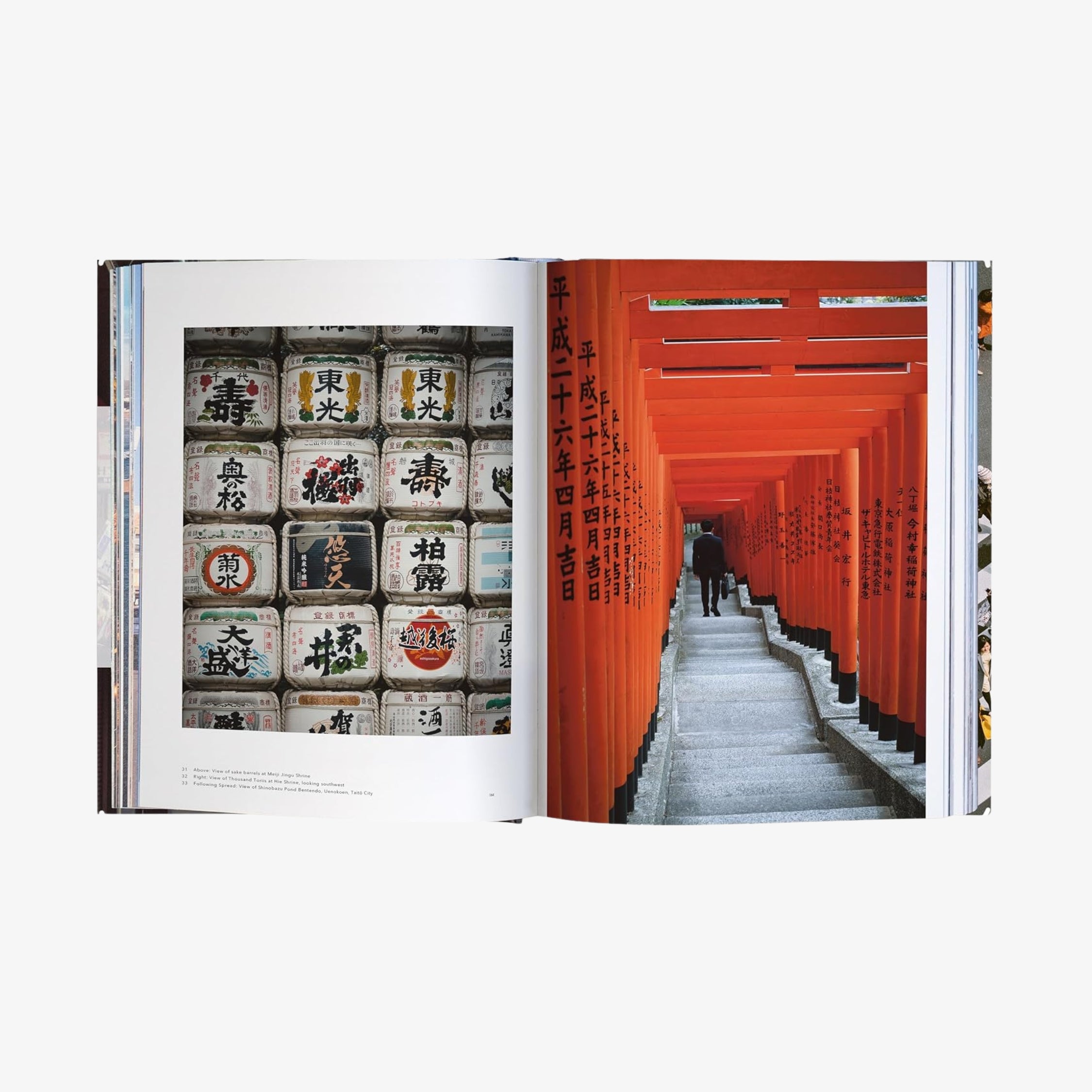 Trope Tokyo (Revised and Expanded Edition)