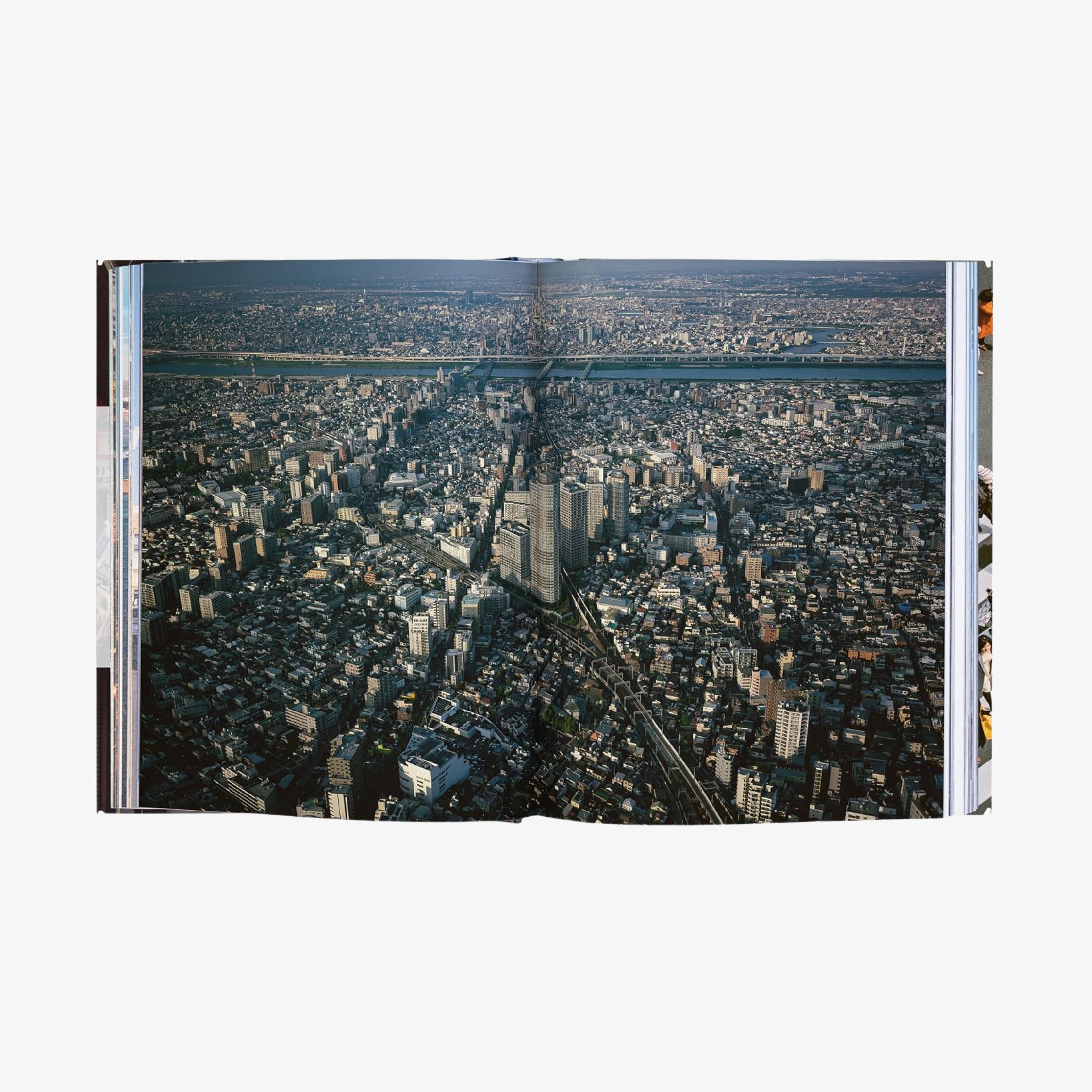 Trope Tokyo (Revised and Expanded Edition)