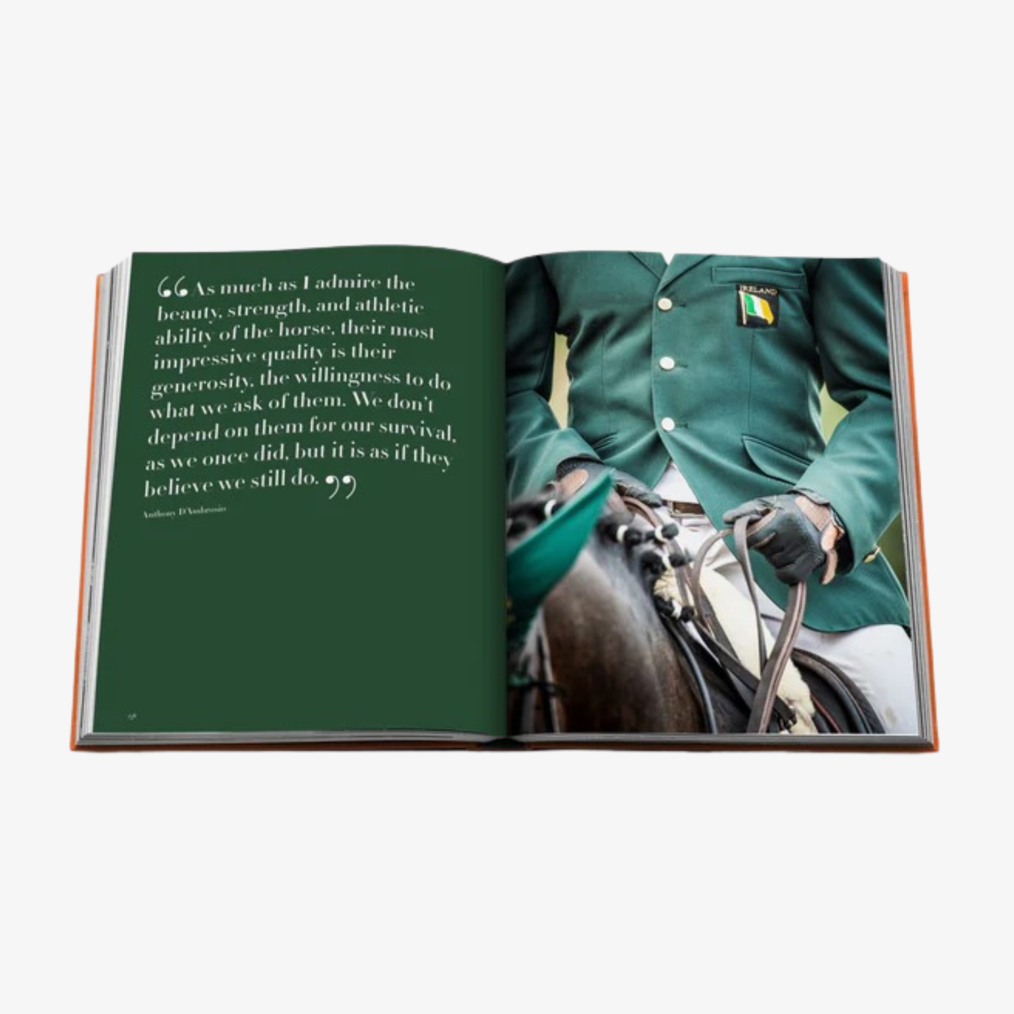 Wellington: The World of Horses