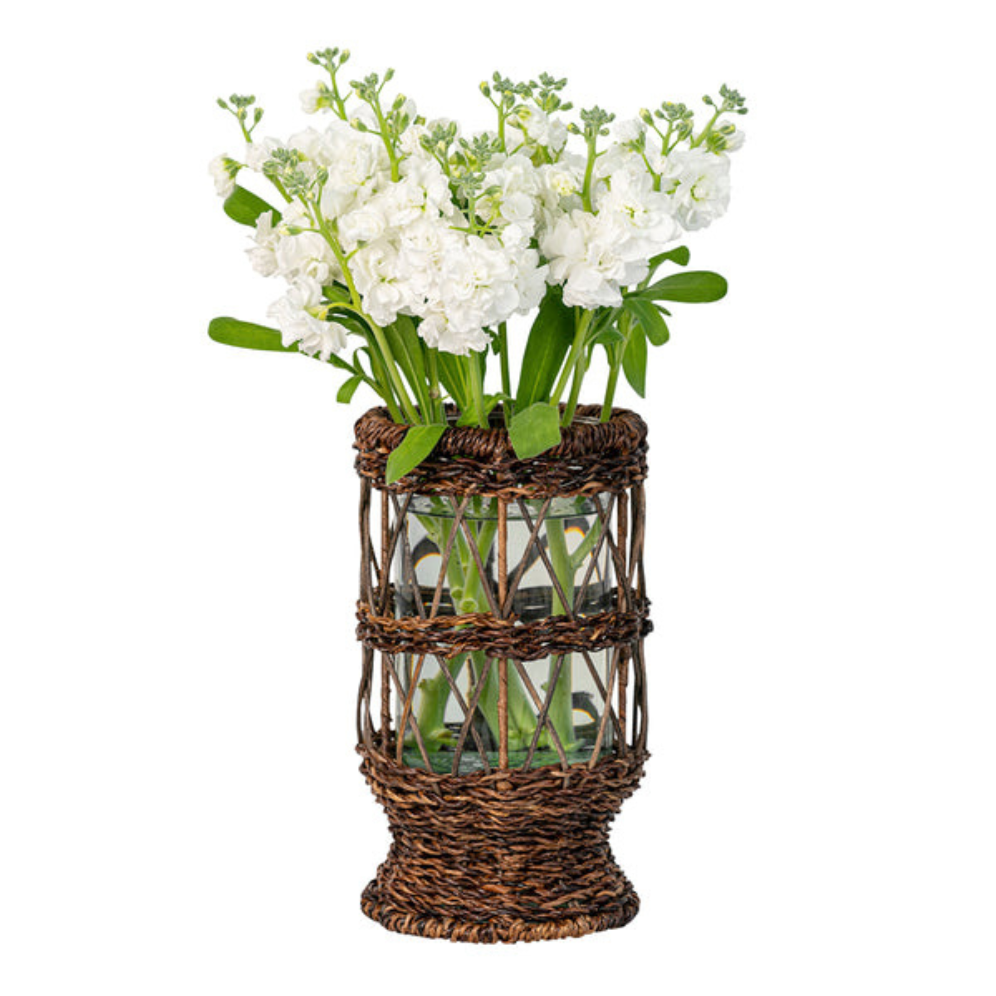 Devon Willow 12" Hurricane