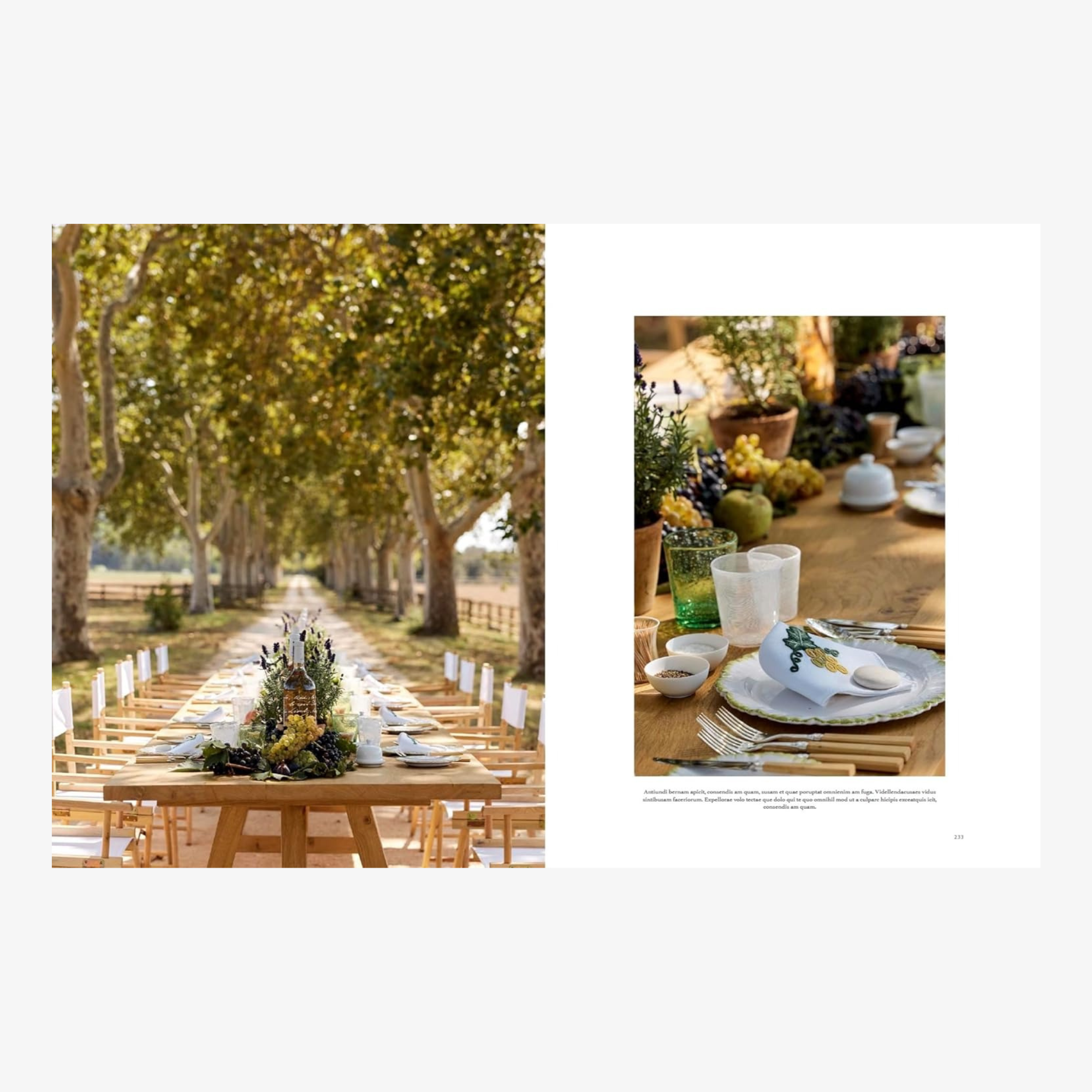 Château Léoube: Provence Living