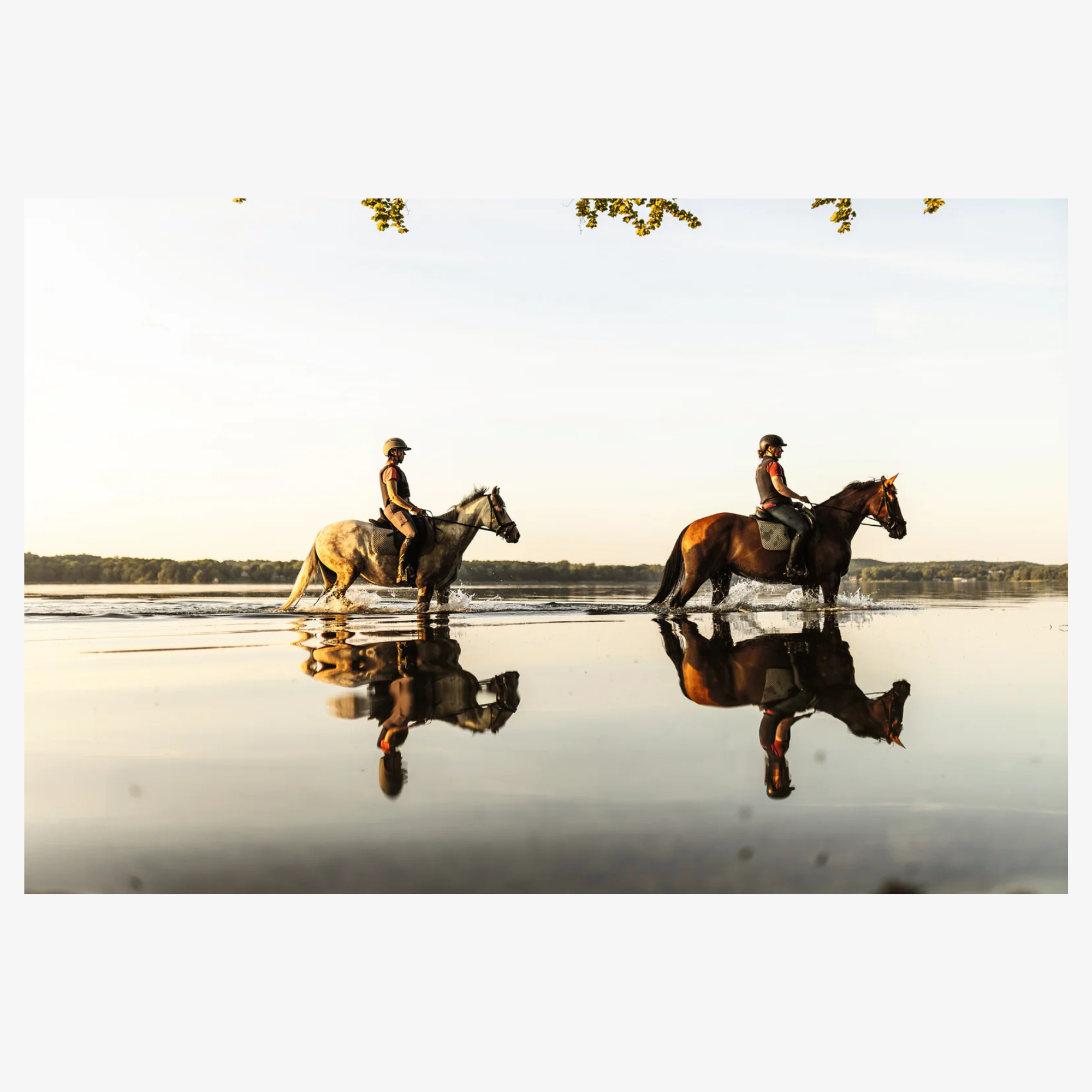 Equestrian - The Ultimate Book