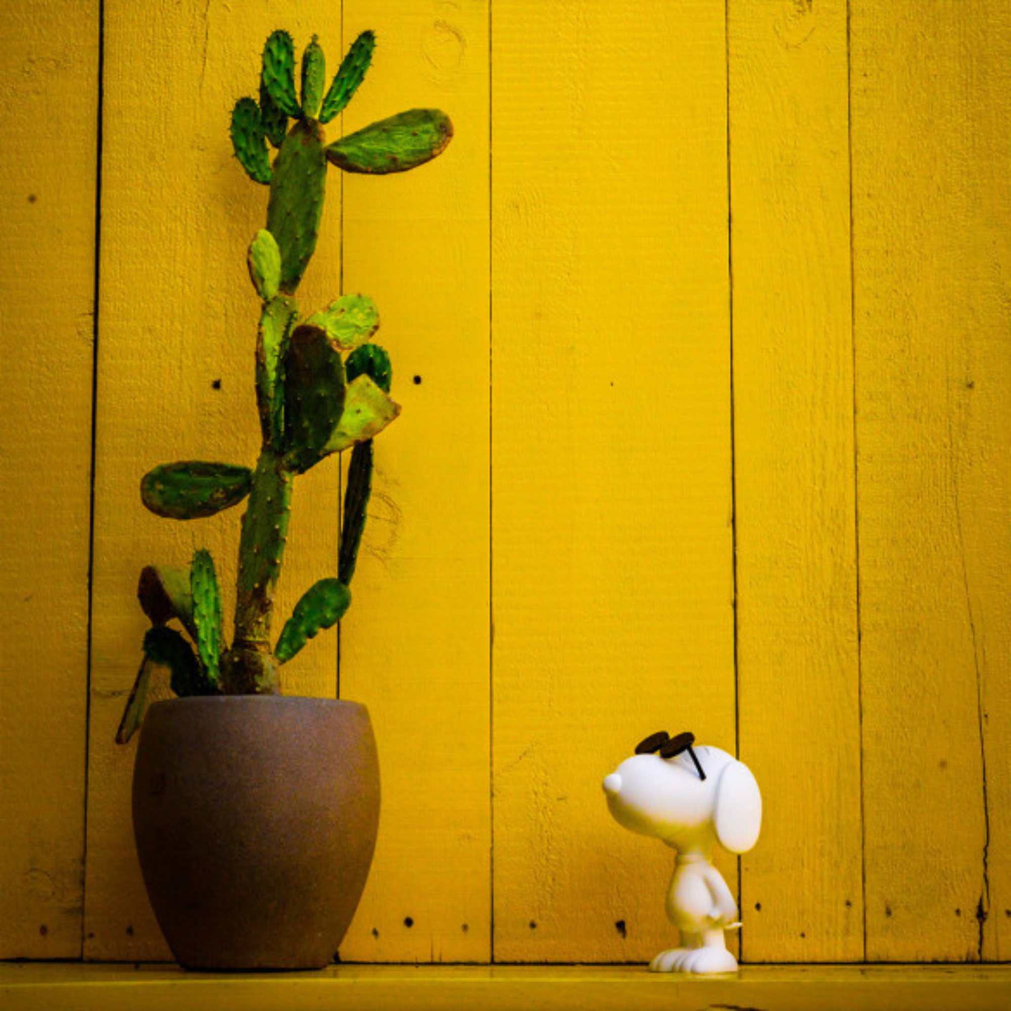 Snoopy Sunglasses Sculpture in White with Black Sunglasses