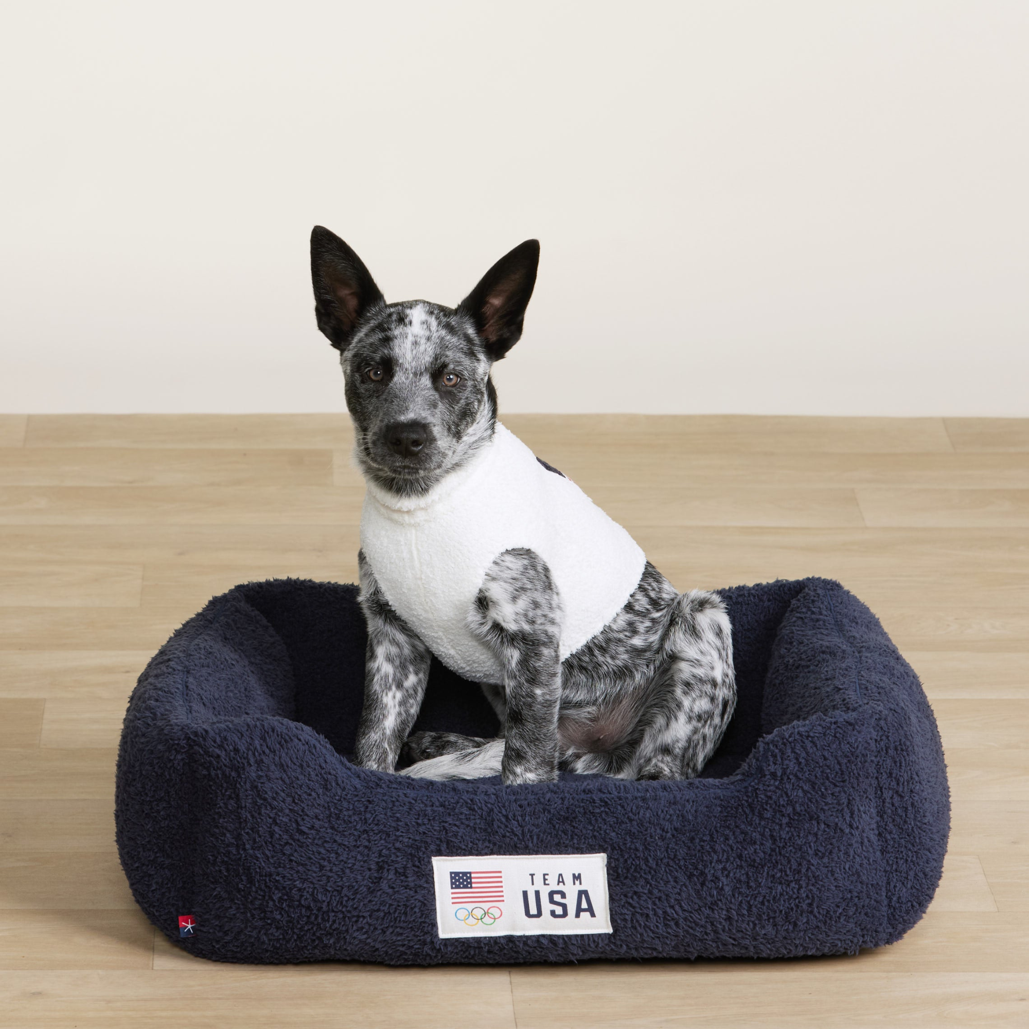 CozyChic Team USA Pet Bed