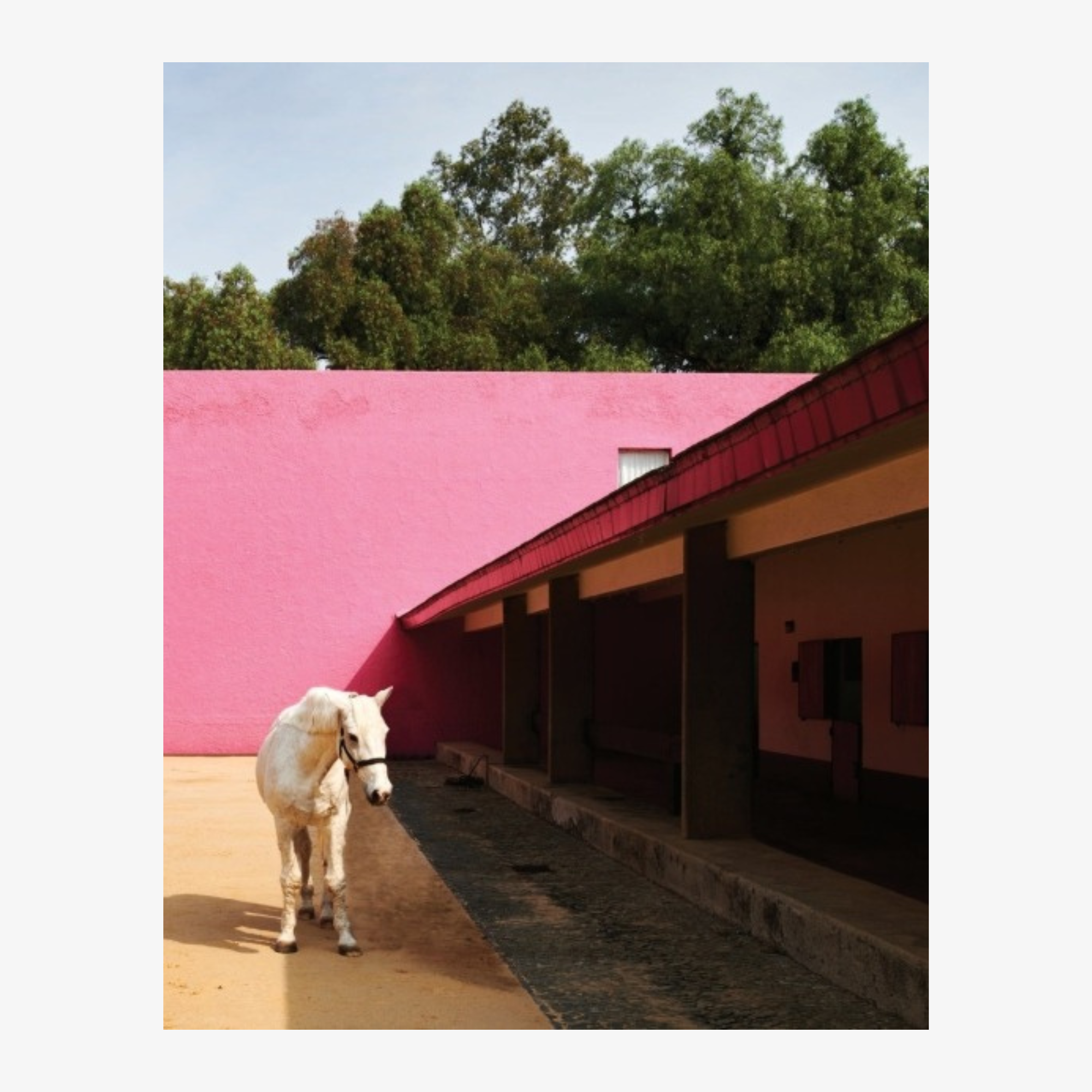 Mexico Modern: Architecture and Interiors