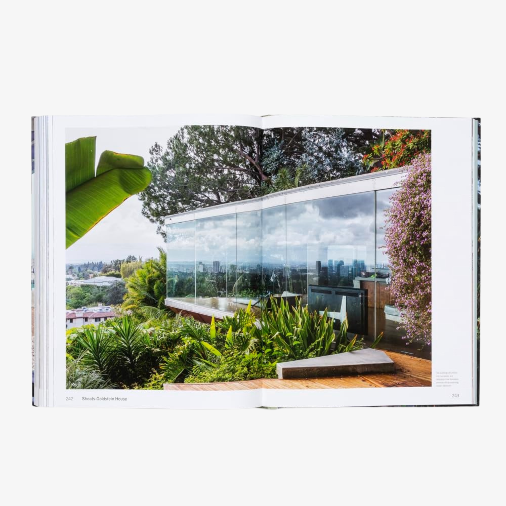 American Icons: The Architecture of the United States: Visions and Defiance