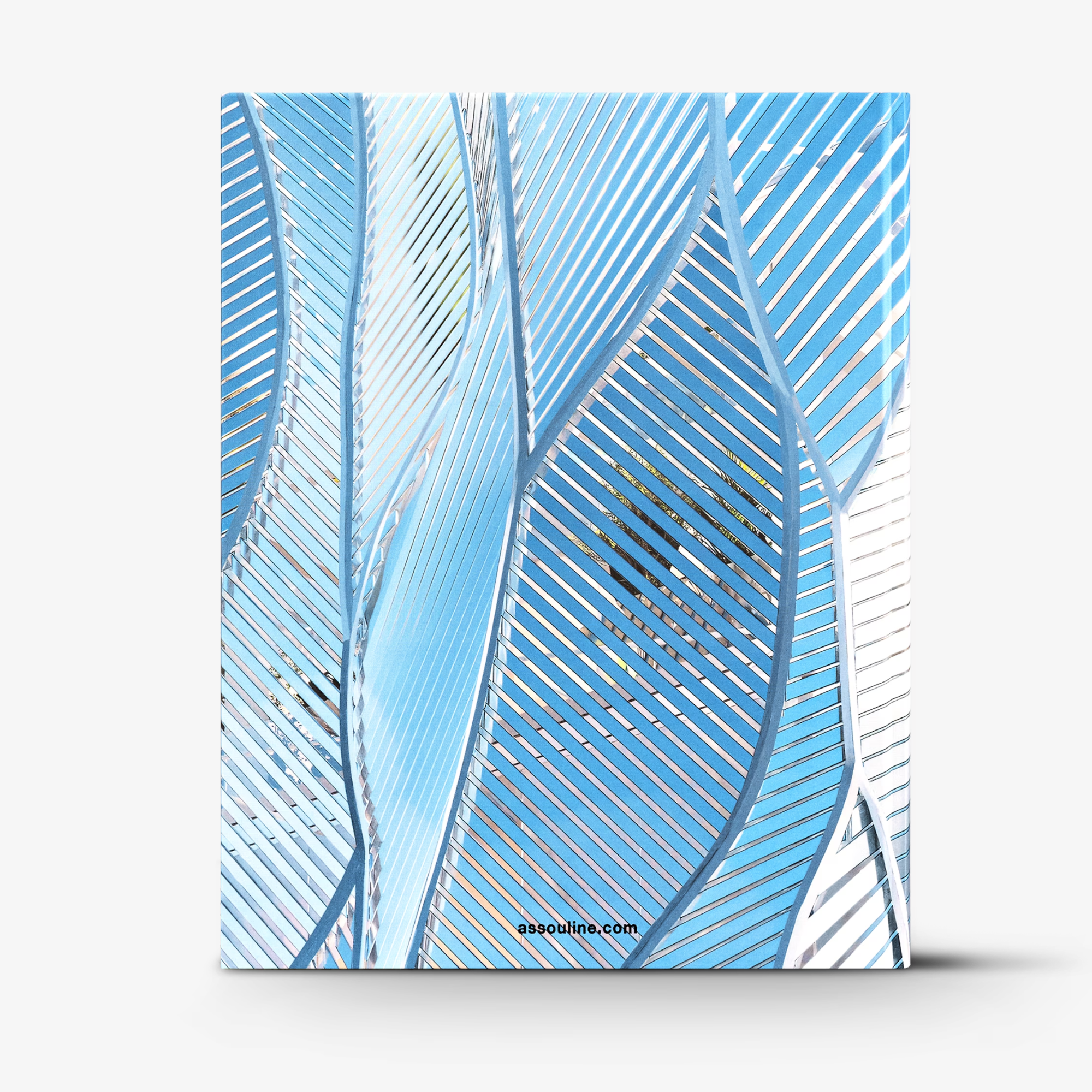 Louis Vuitton Skin: Architecture of Luxury (Beijing Edition)