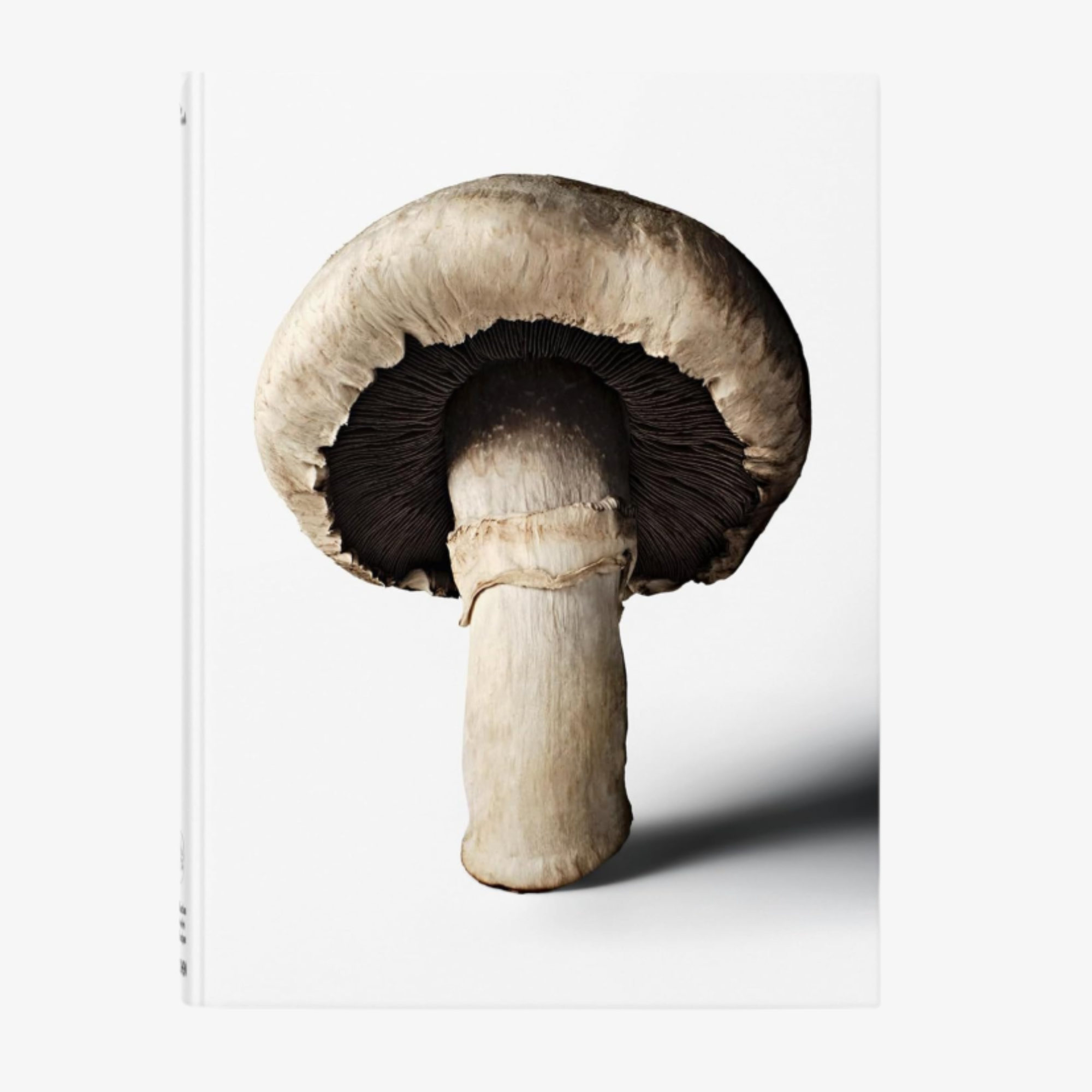 The Gourmand's Mushroom: A Collection of Stories and Recipes