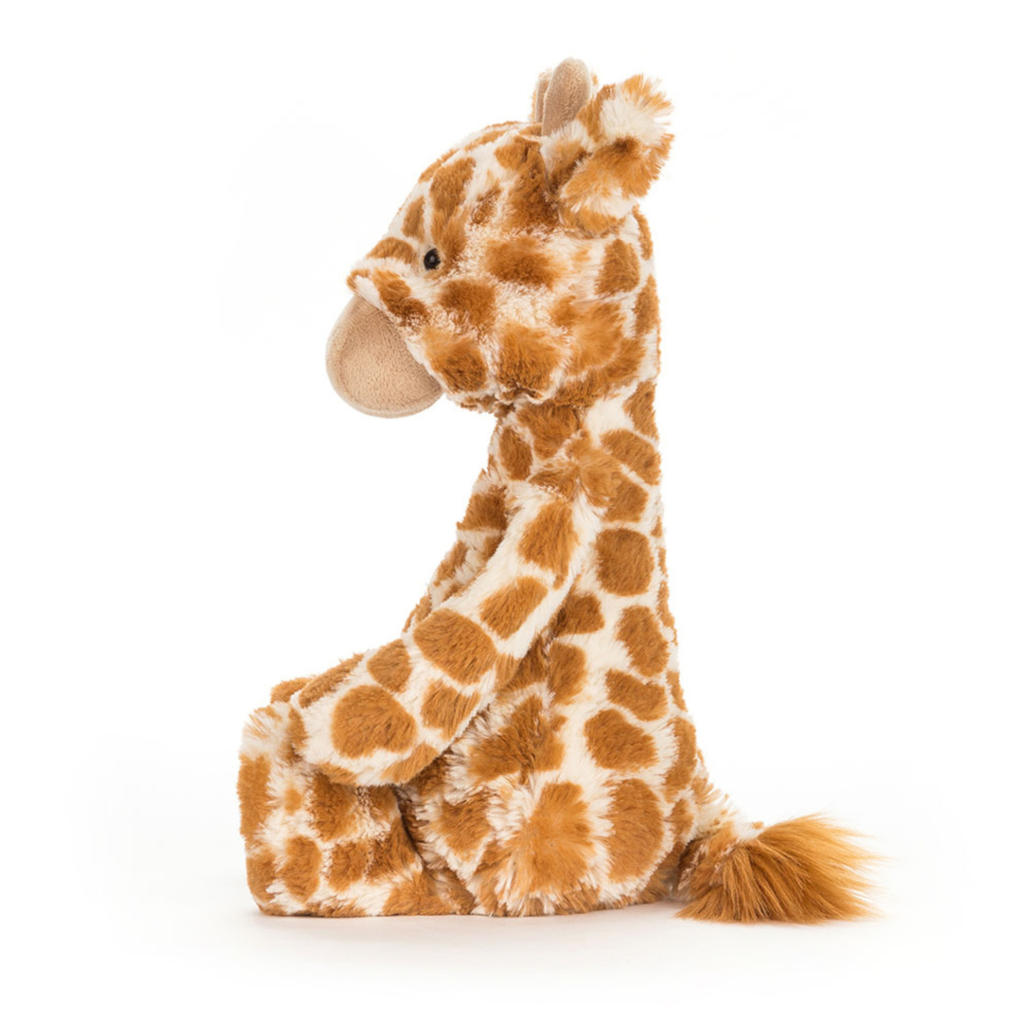 Bashful Giraffe and If I Were a Giraffe Board Book