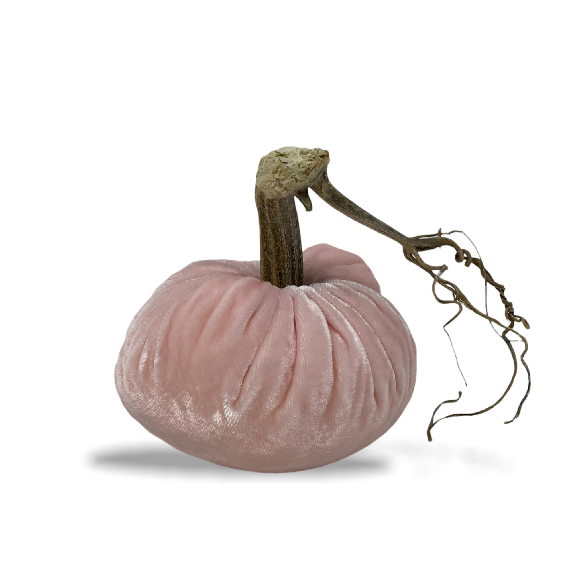 Velvet Pale Pink Pumpkin