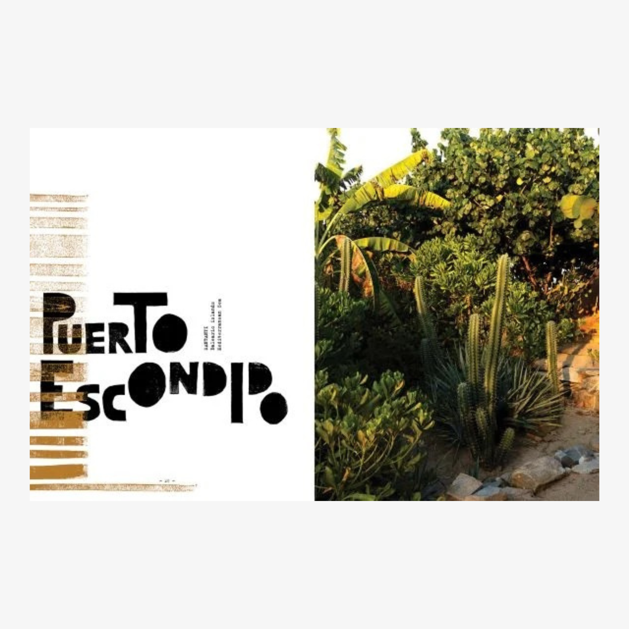 By the Sea: Inspiring Coastal Houses and Refugees