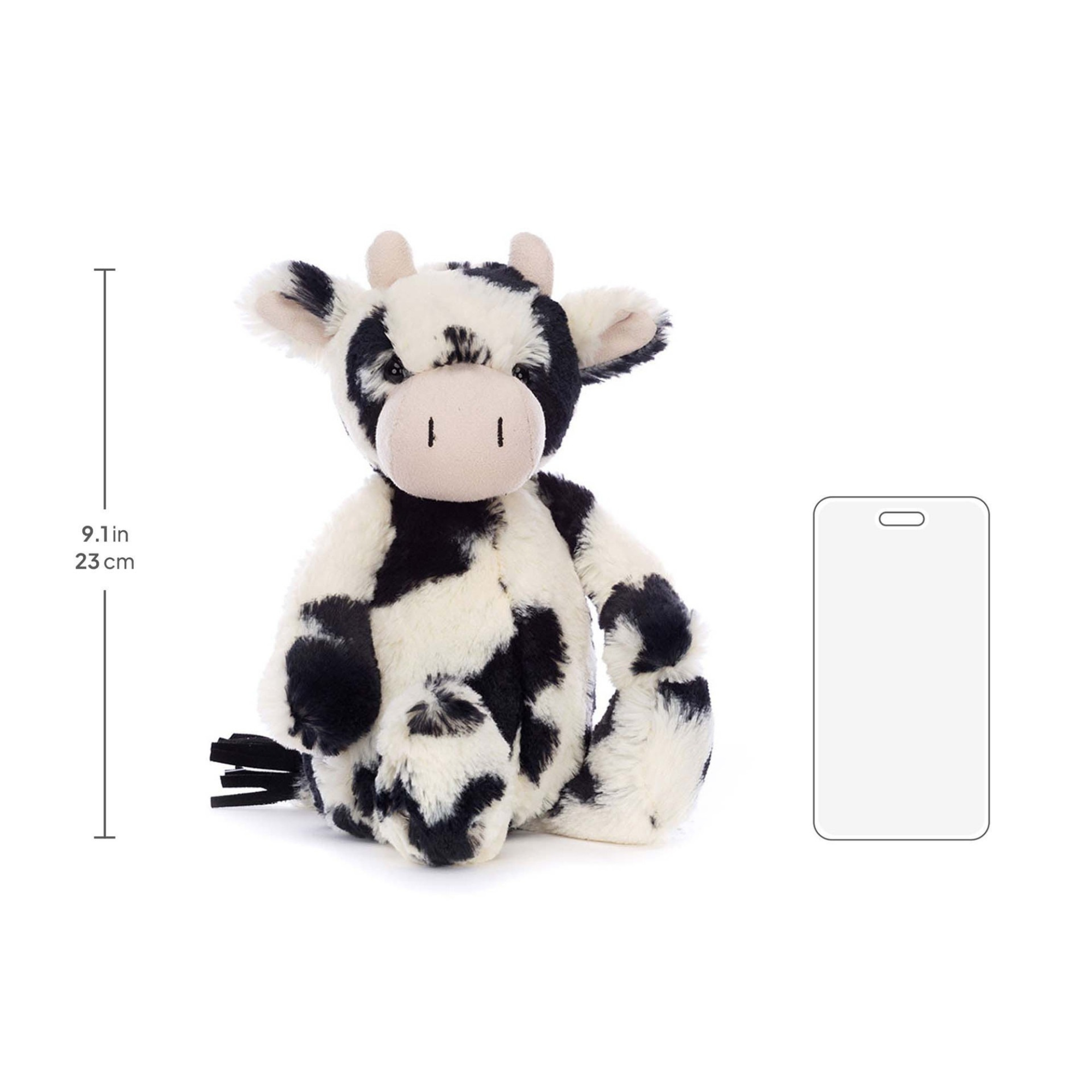 Bashful Calf