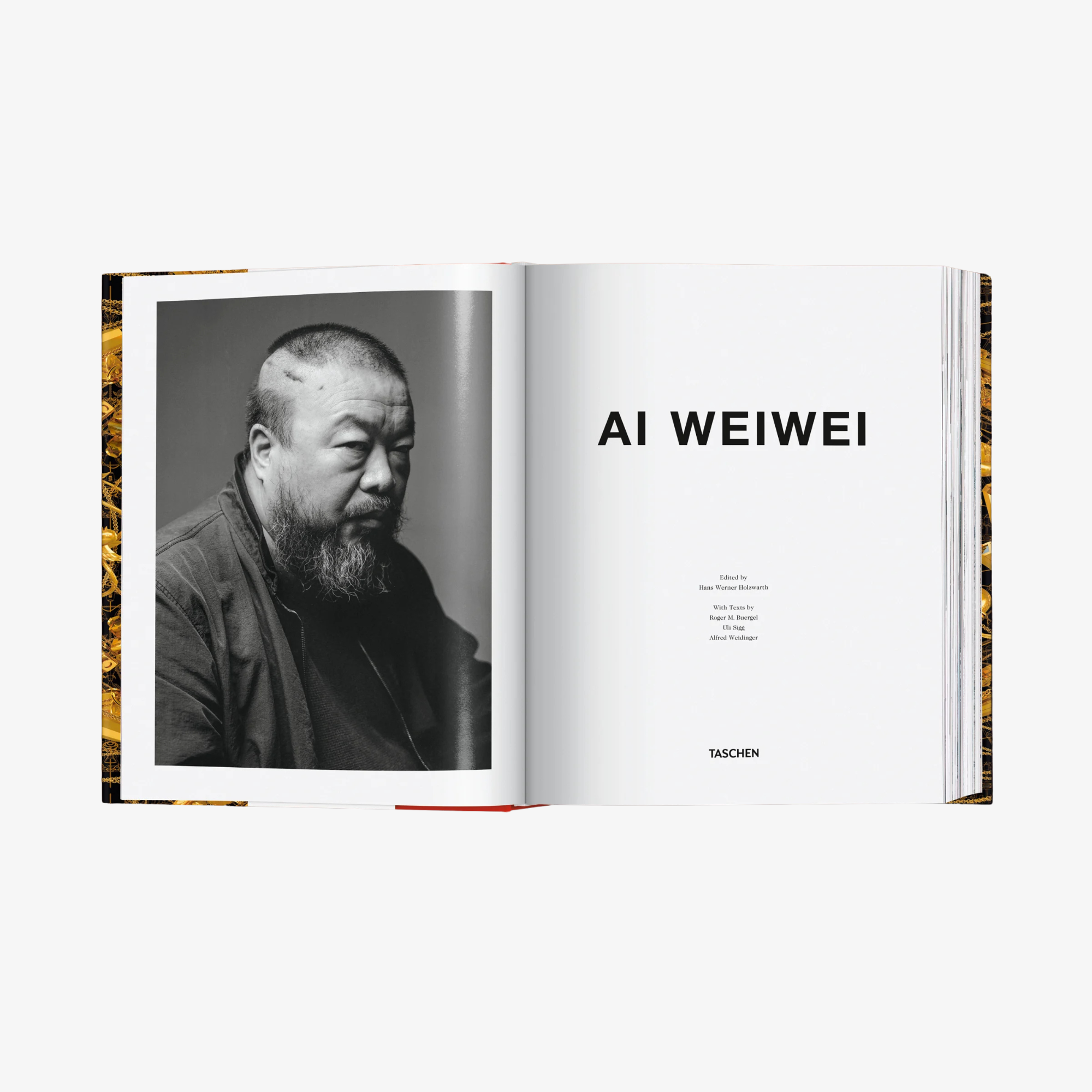 Ai Weiwei. Updated Edition
