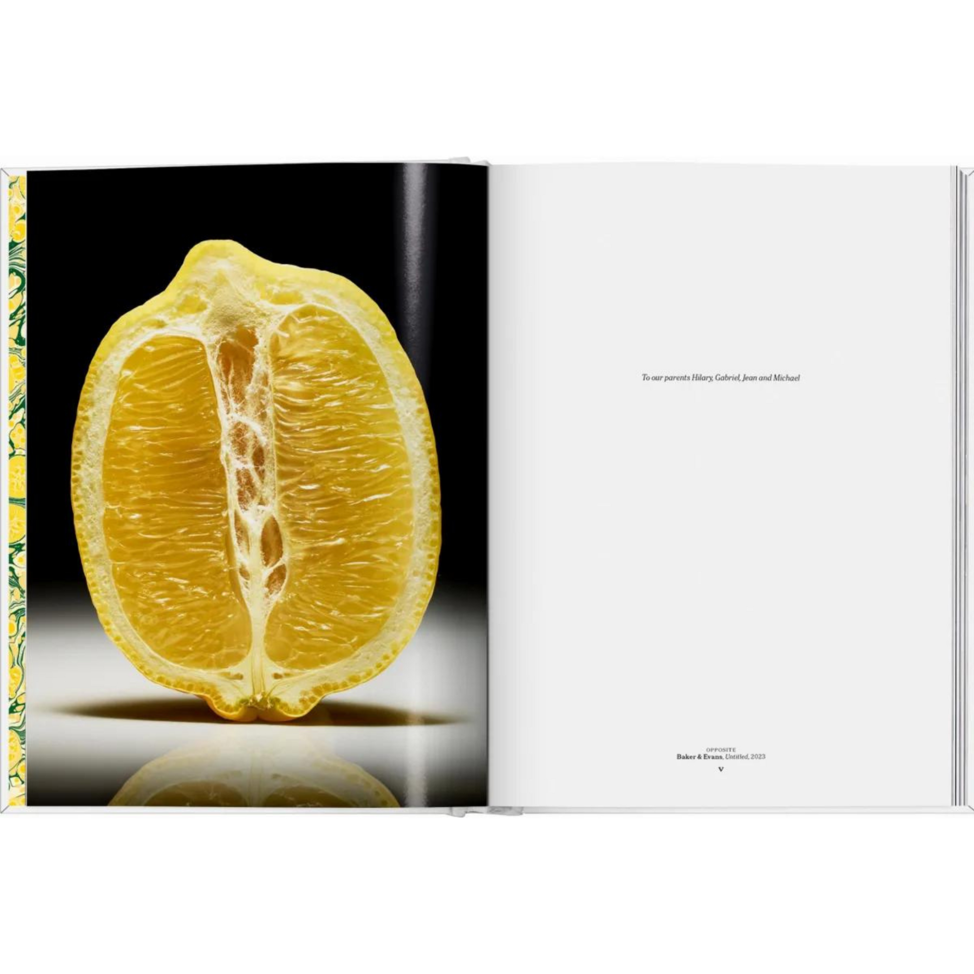 The Gourmand's Lemon & The Gourmand’s Egg