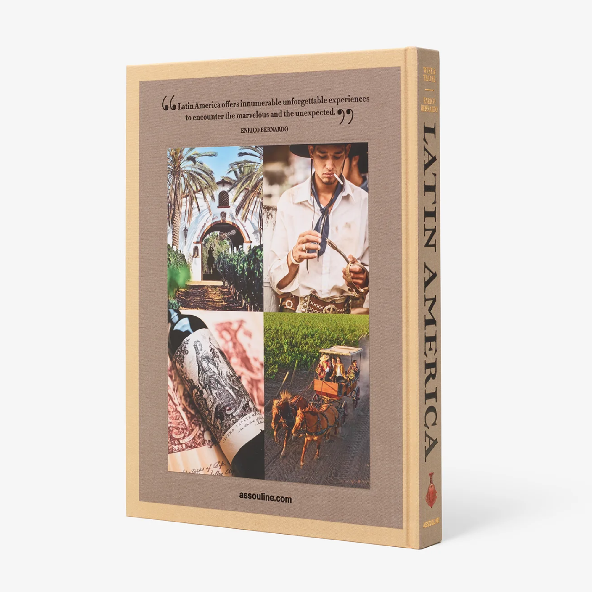 Wine & Travel: Latin America