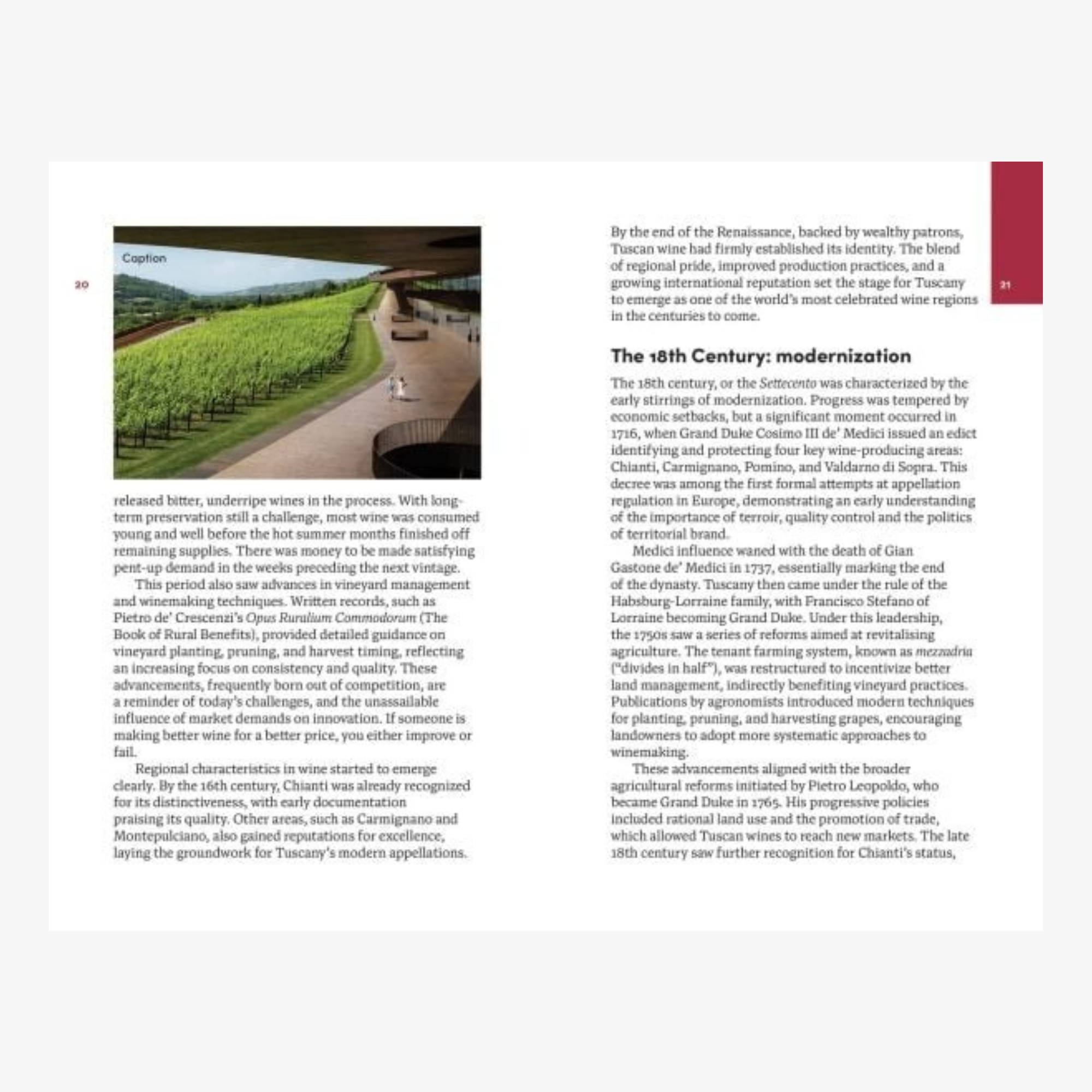 Tuscany: The Smart Traveller's Wine Guide