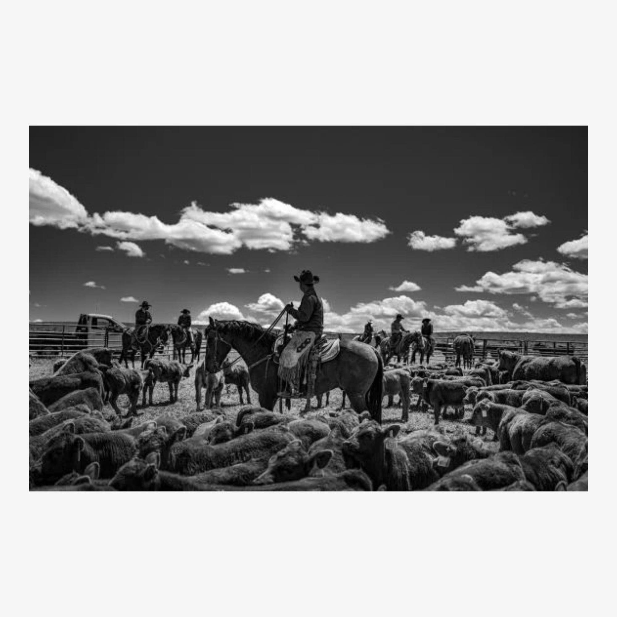 Ranchland: Wagonhound