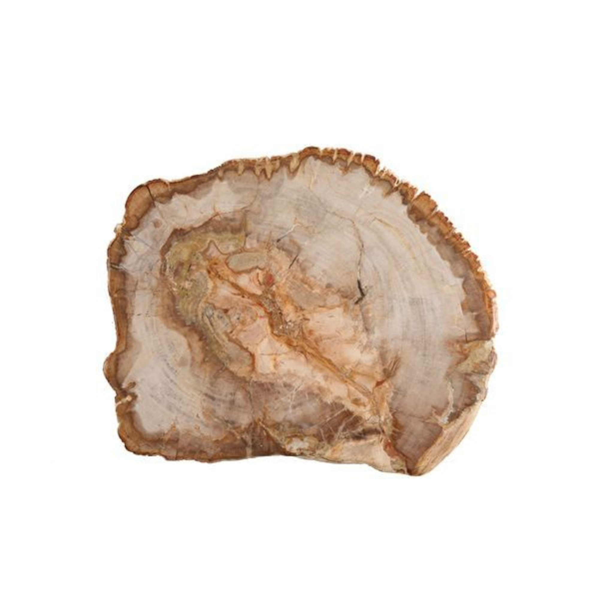 Serveware Petrified Wood Platter