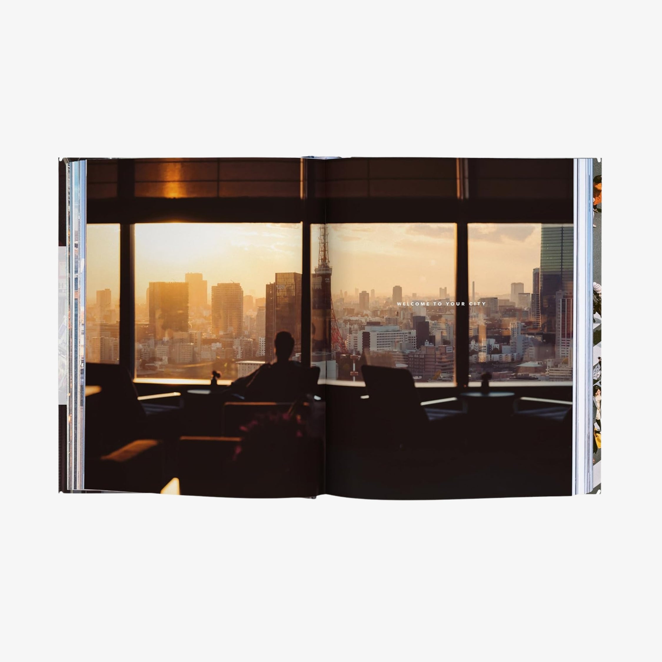 Trope Tokyo (Revised and Expanded Edition)