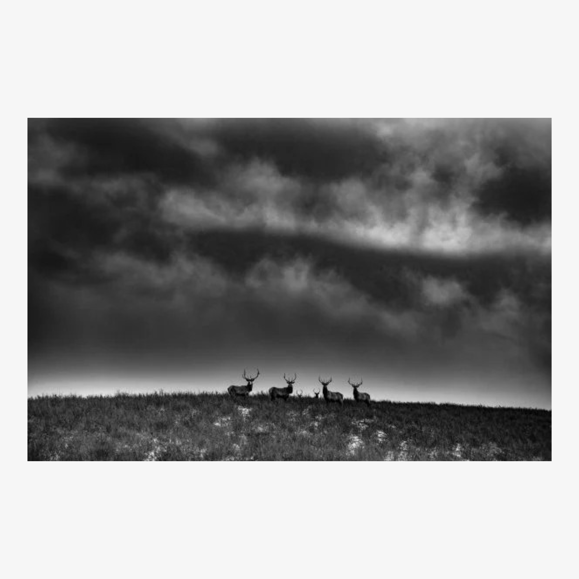 Ranchland: Wagonhound