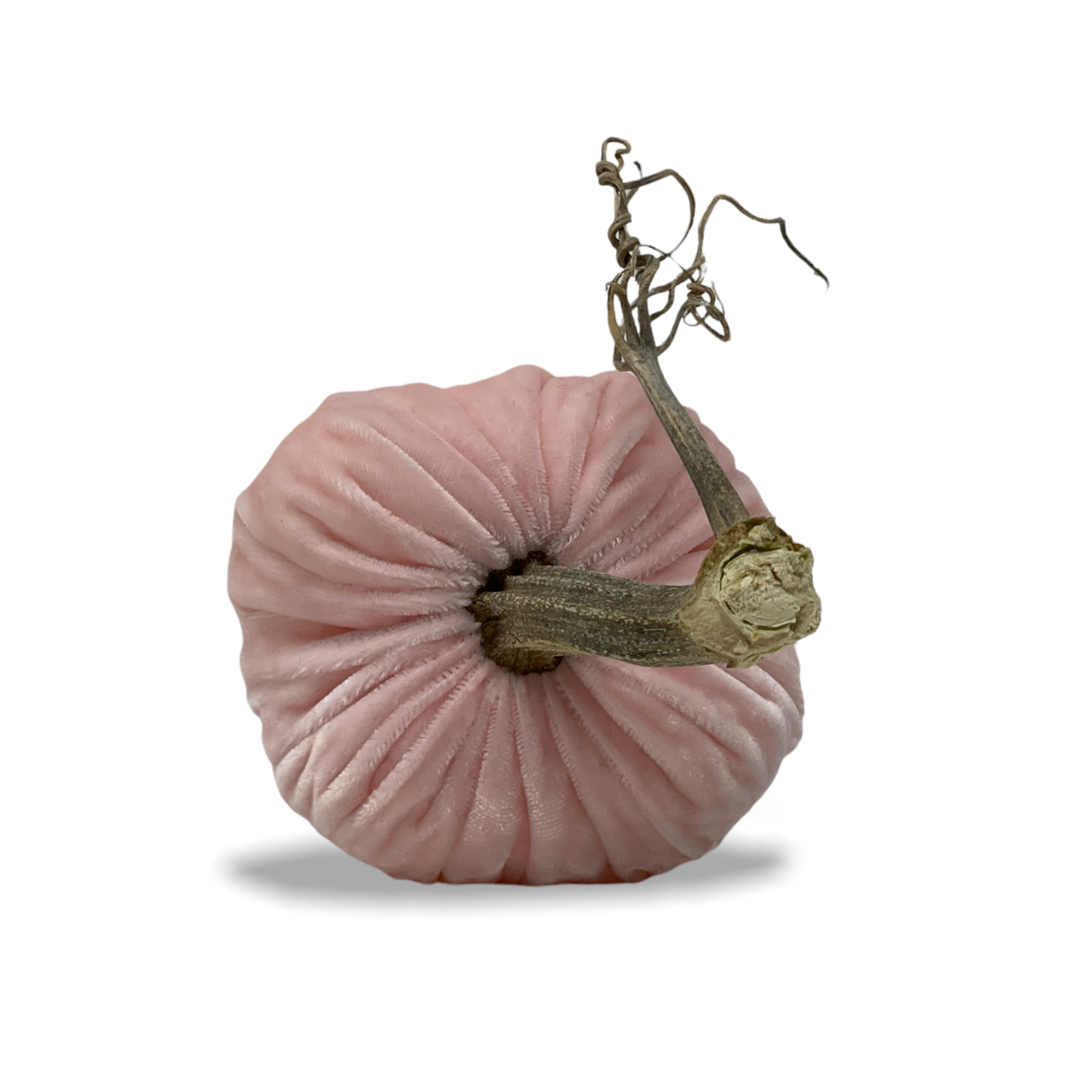 Velvet Pale Pink Pumpkin