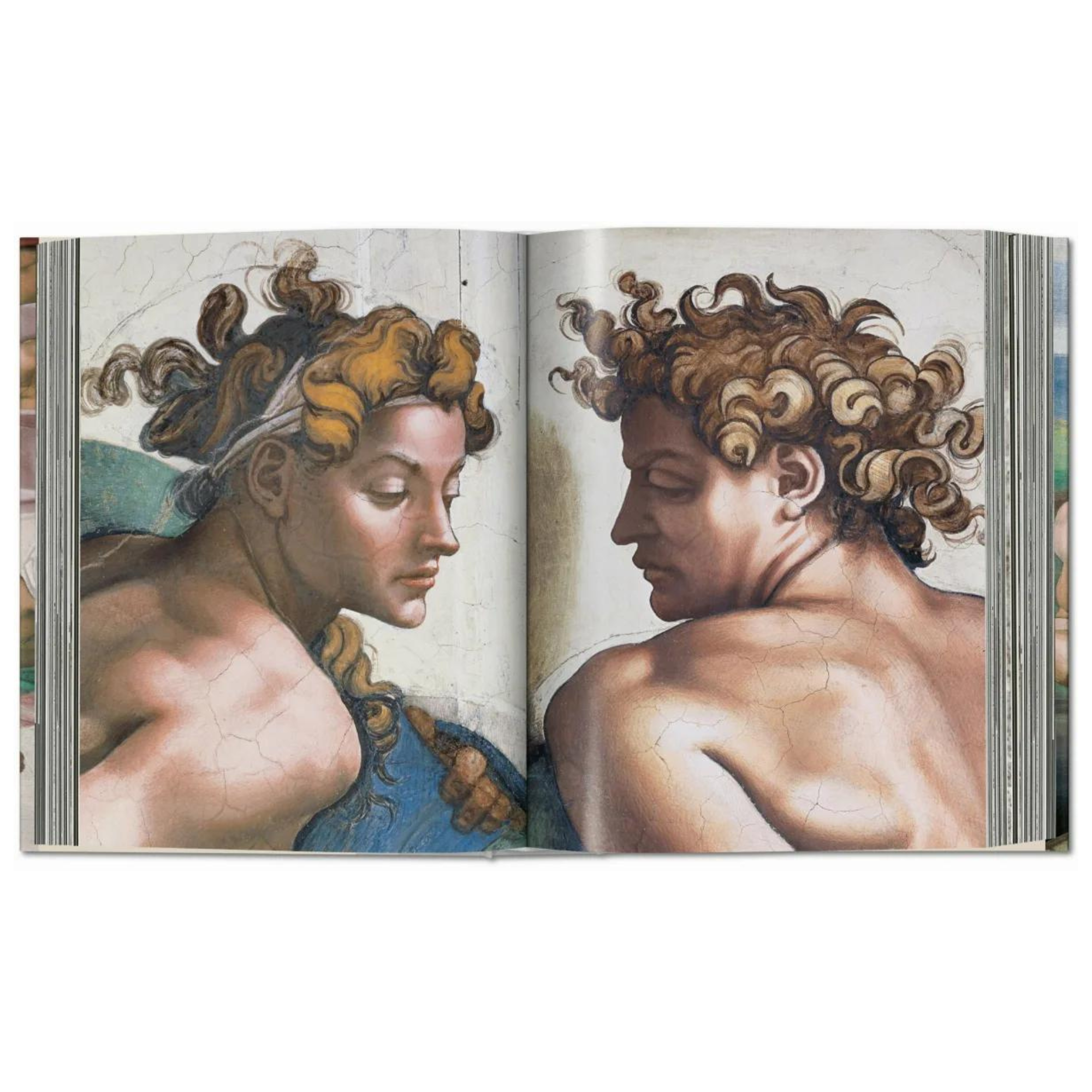 Michelangelo: The Complete Works