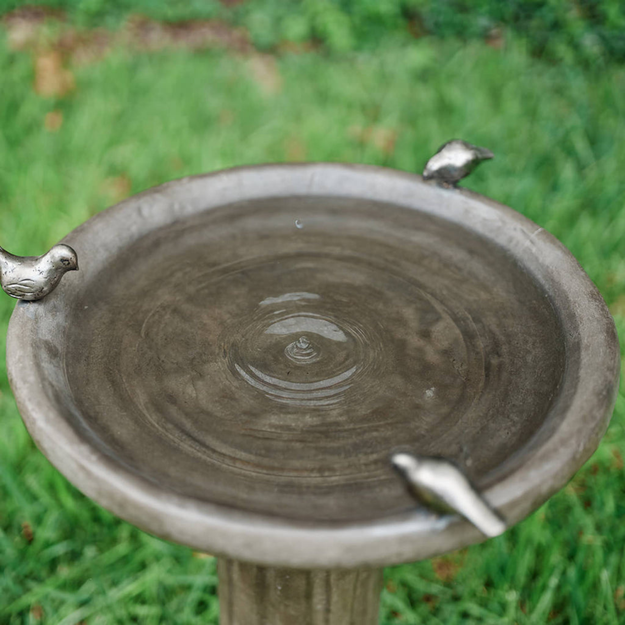 Bandada Bird Bath