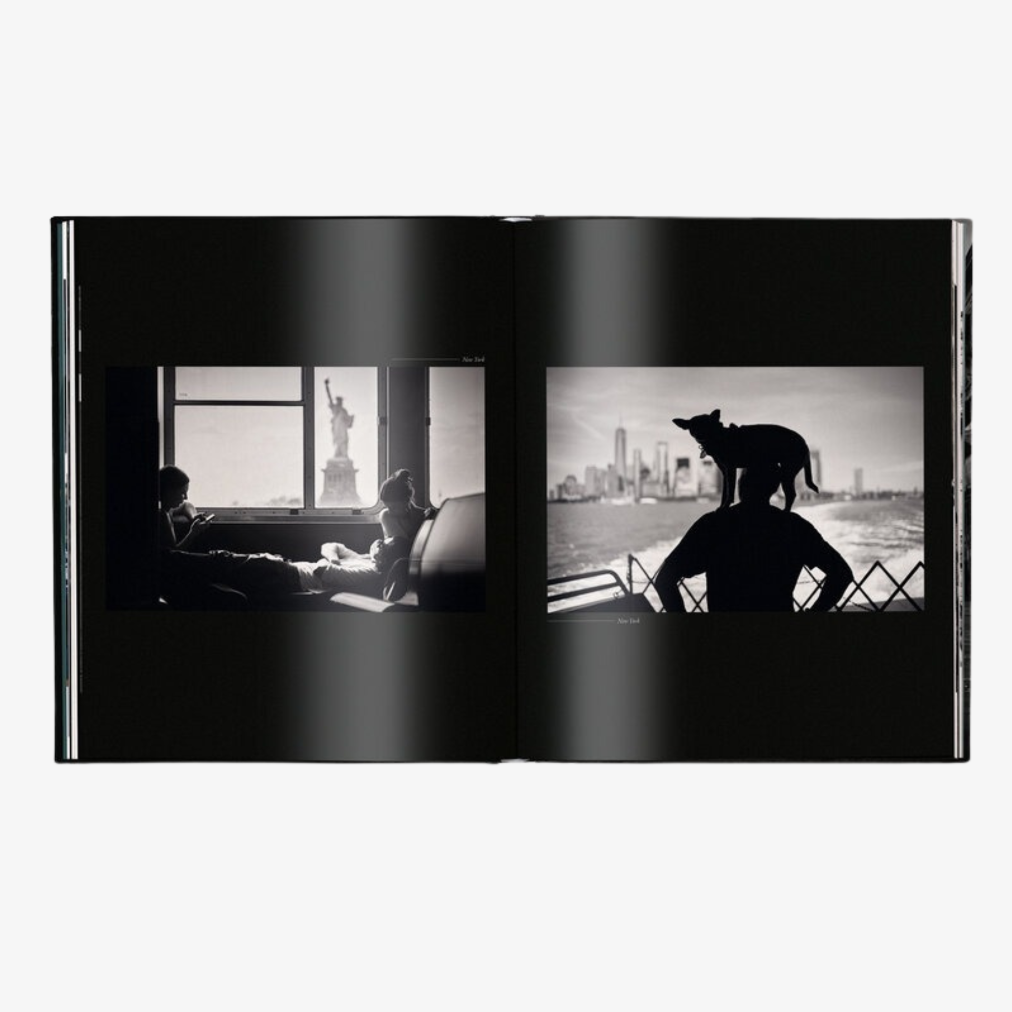 Phil Penman Street Scences