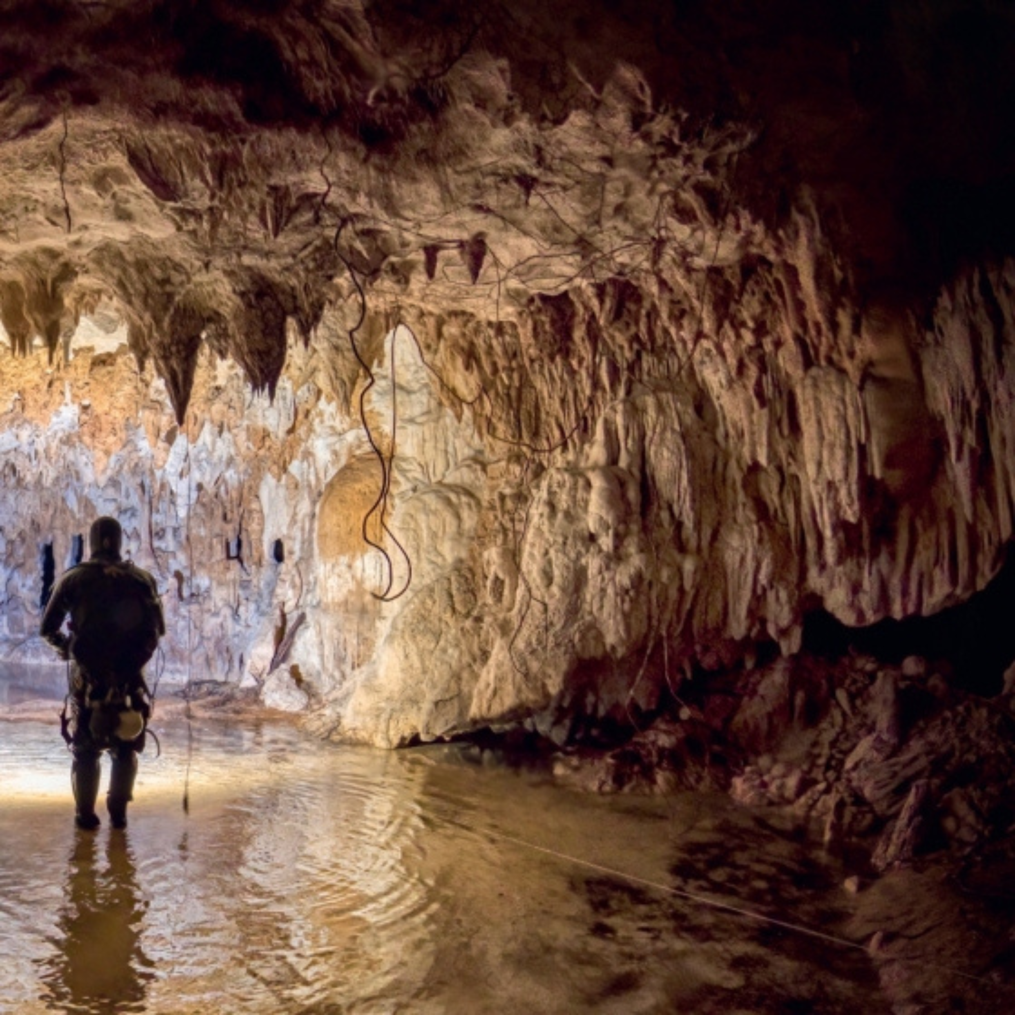 Light in the Underworld: Diving the Mexican Cenotes