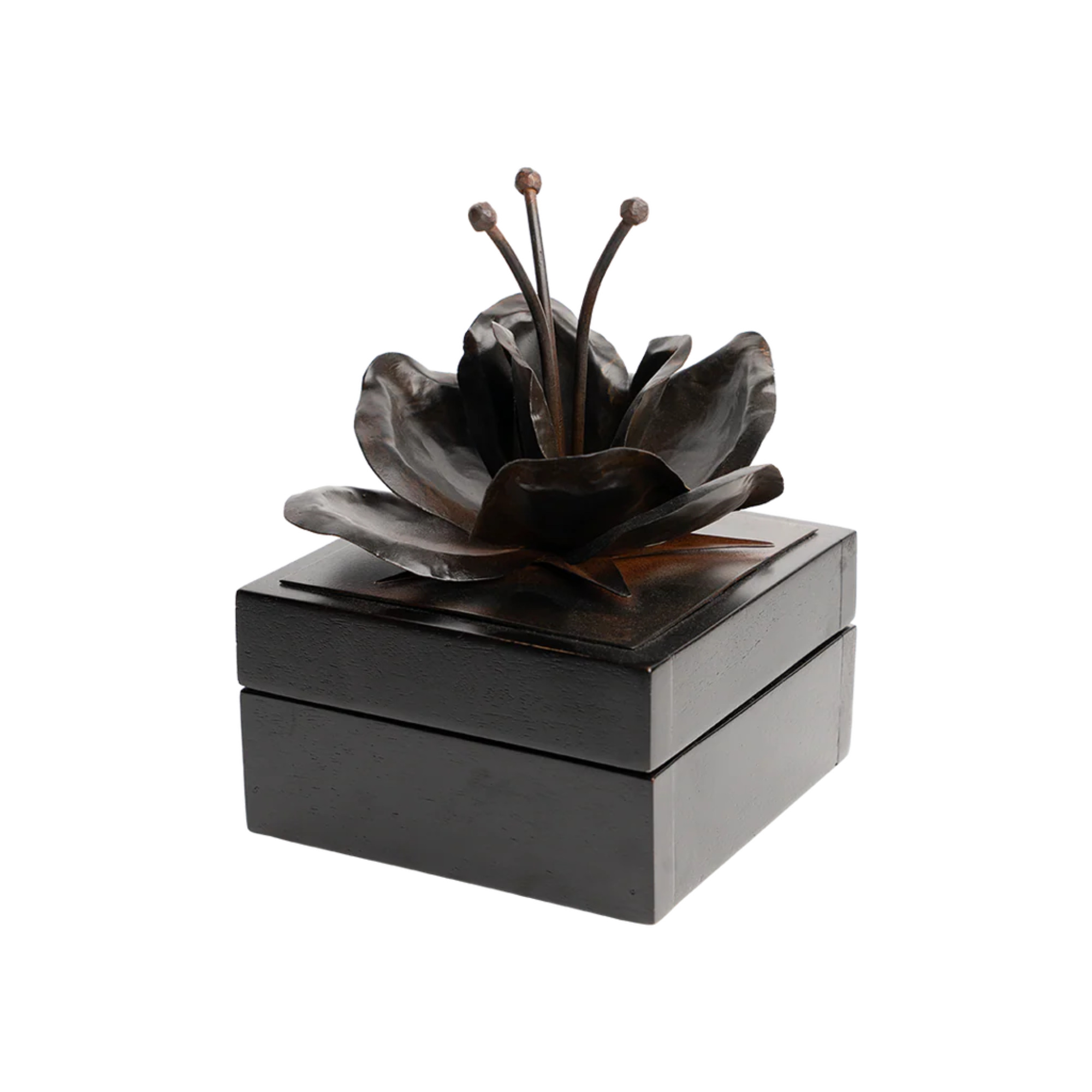 Valentina Box