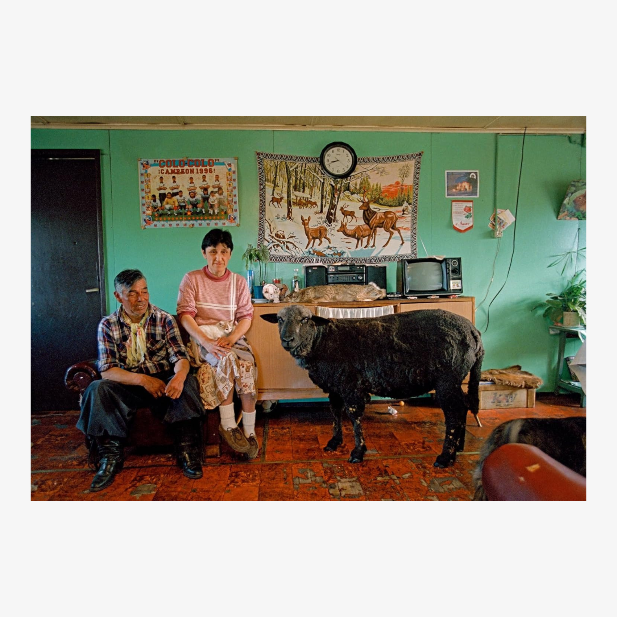 Thomas Hoepker: Stories of Humanity